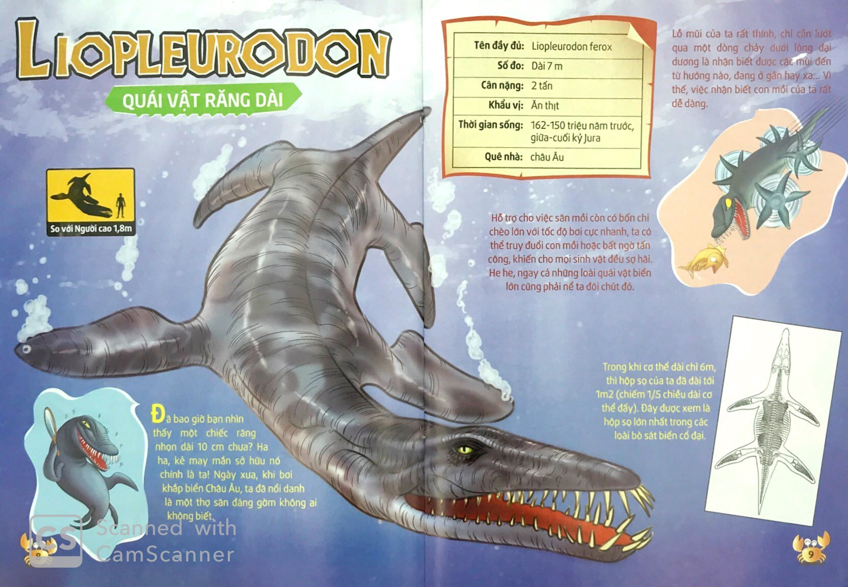 lớp học thời tiền sử - sát thủ đại dương - Ảnh 5