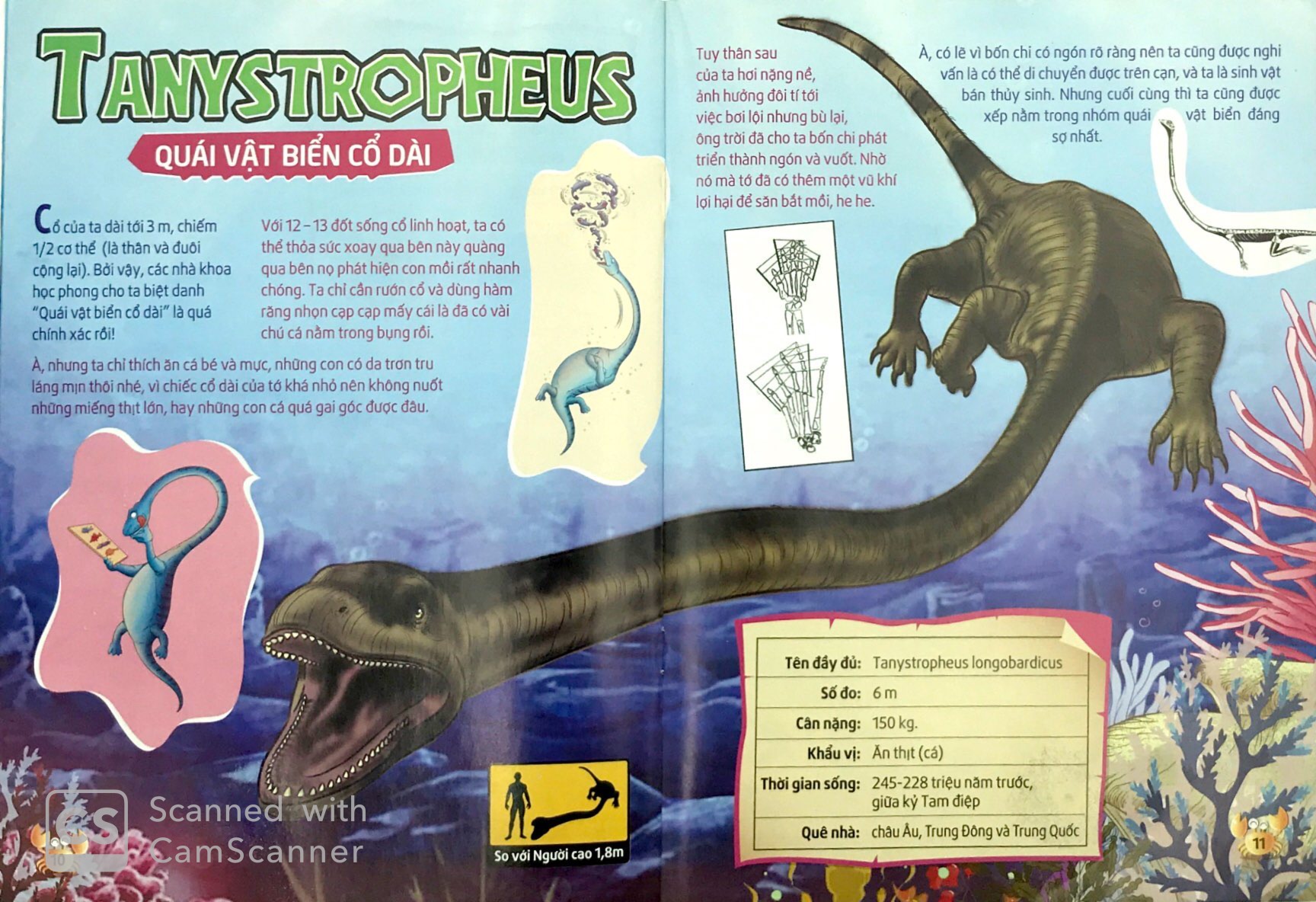 lớp học thời tiền sử - sát thủ đại dương - Ảnh 6