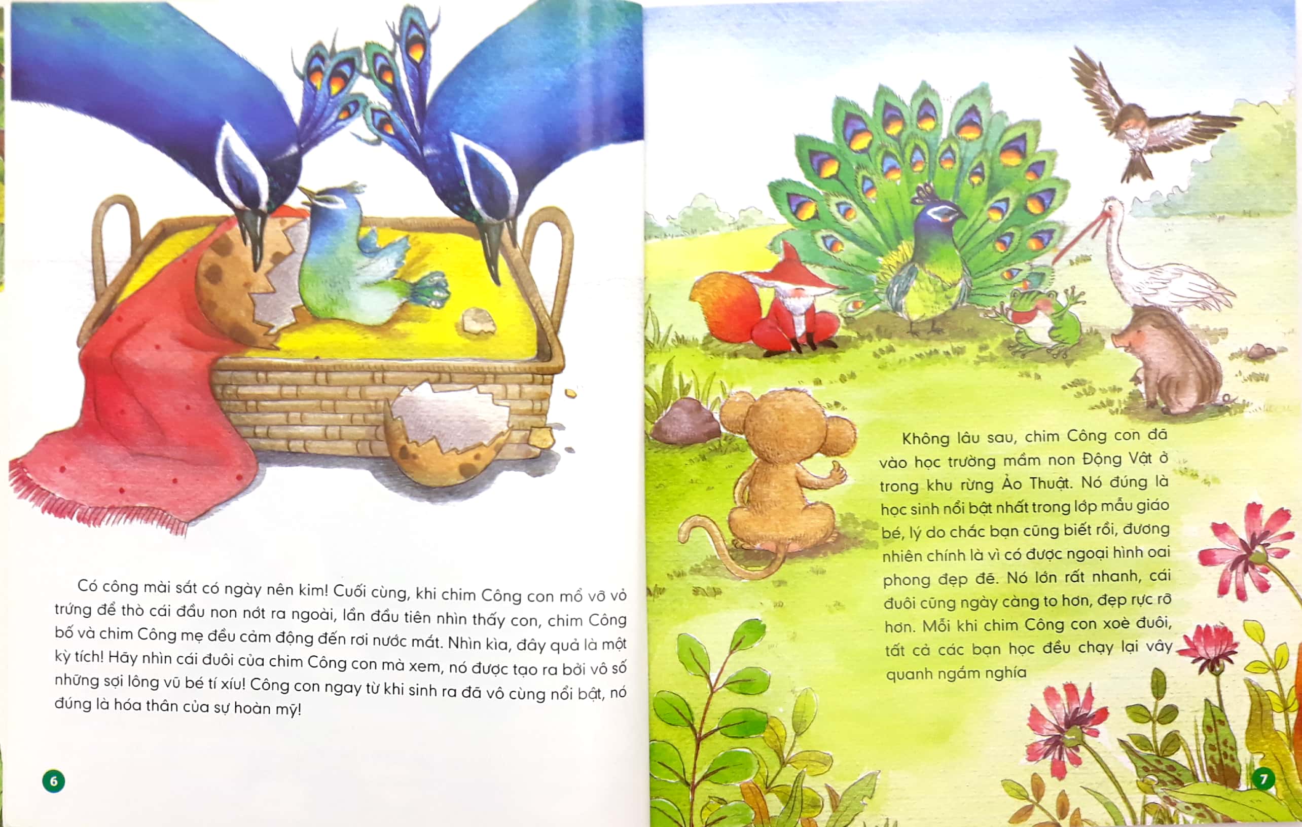 Lop Hoc Tren Can - Chim Cong Dom Dang - Ảnh 6