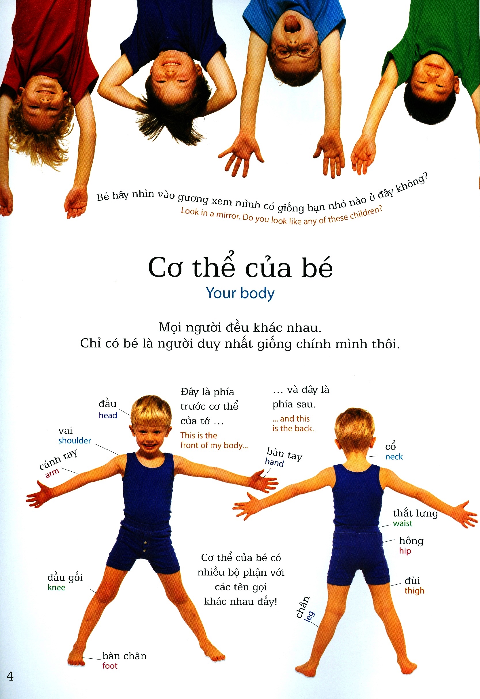 lớp học vui về cơ thể - my body - Ảnh 3