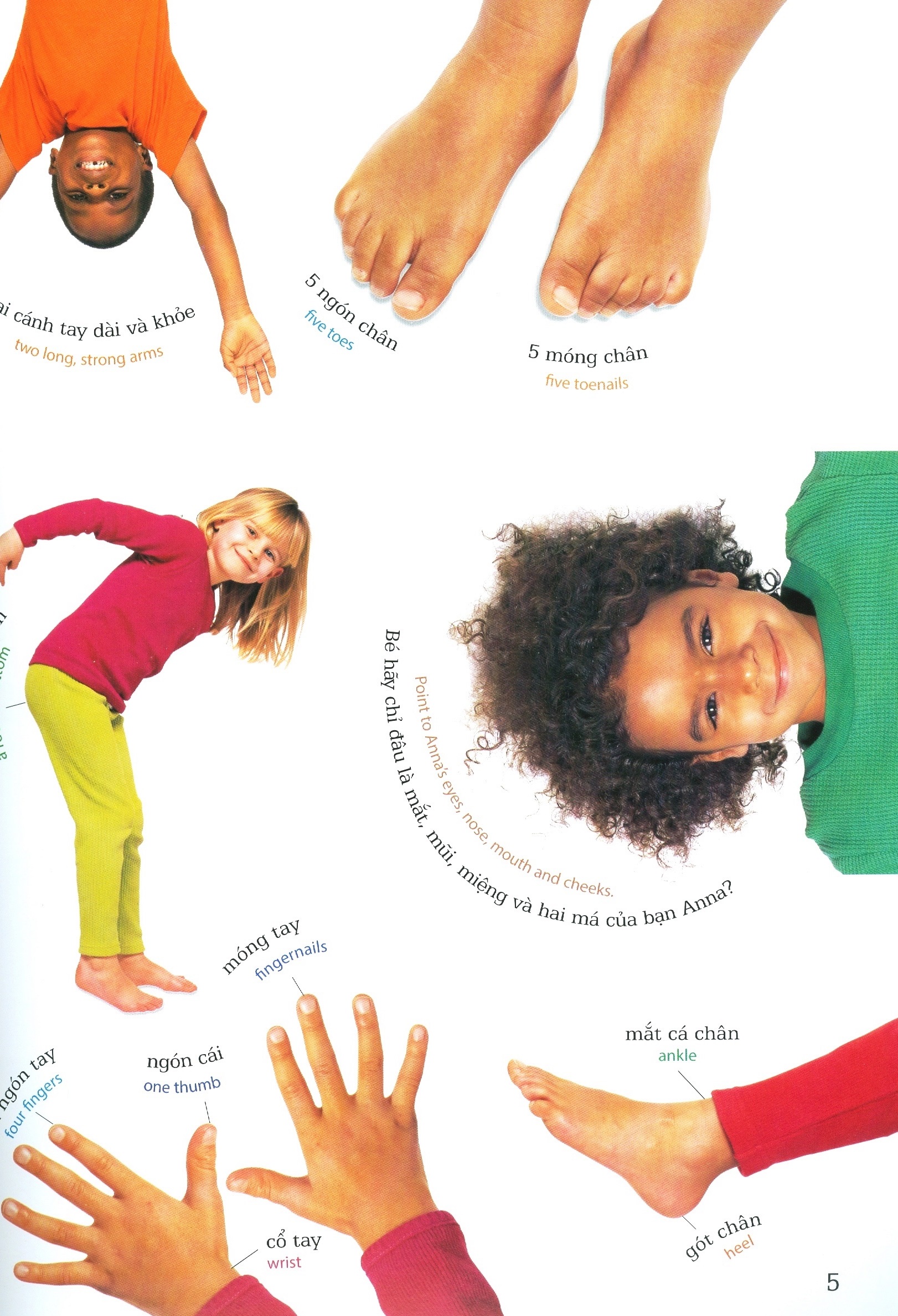 lớp học vui về cơ thể - my body - Ảnh 4