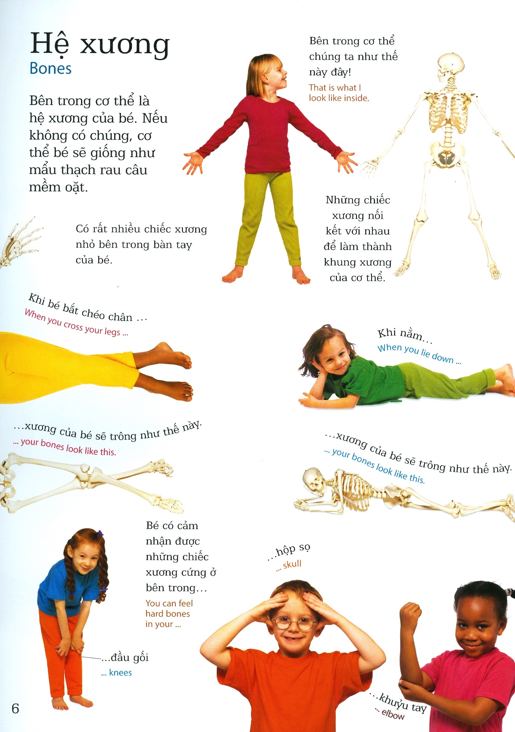 lớp học vui về cơ thể - my body - Ảnh 5