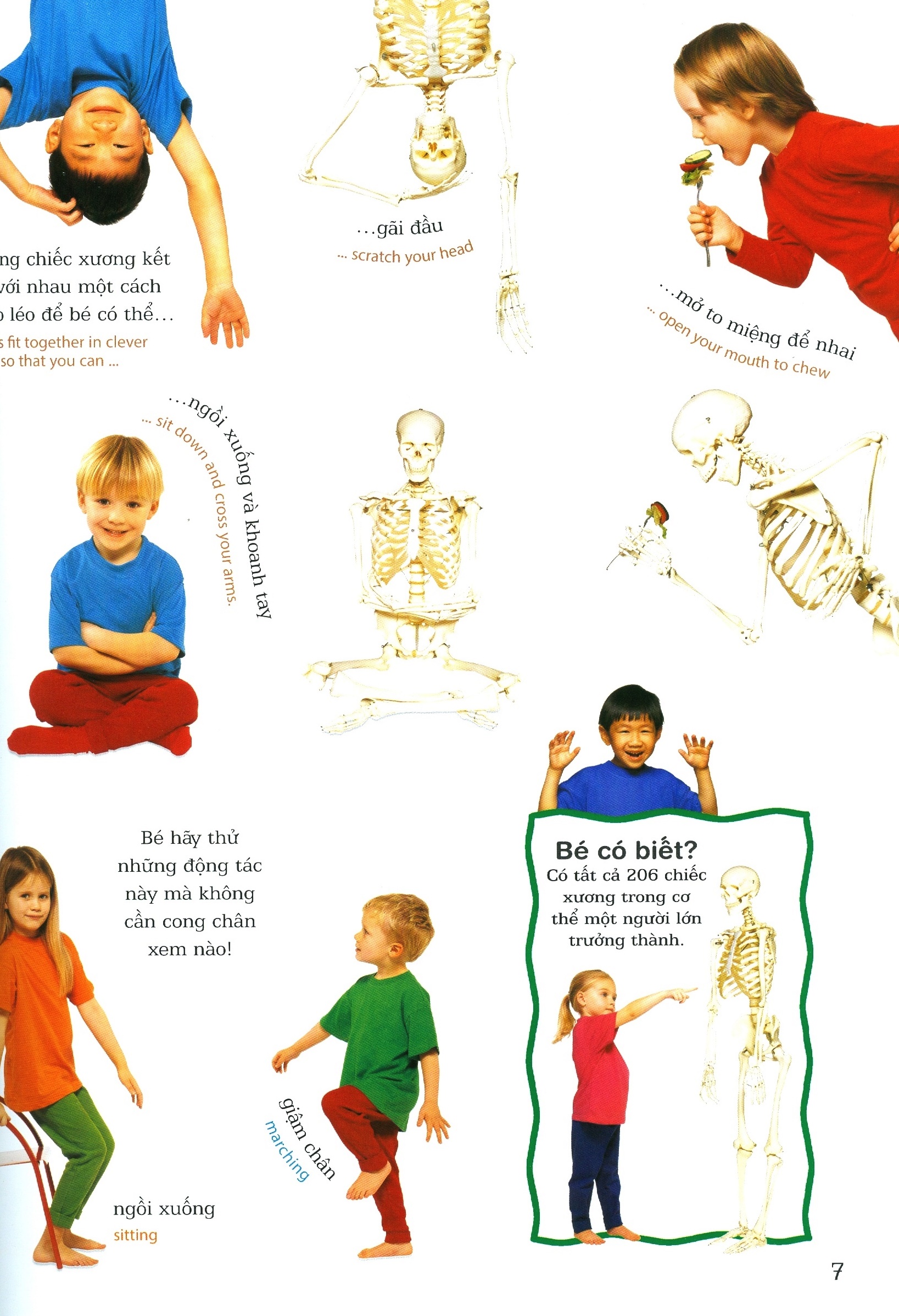 lớp học vui về cơ thể - my body - Ảnh 6