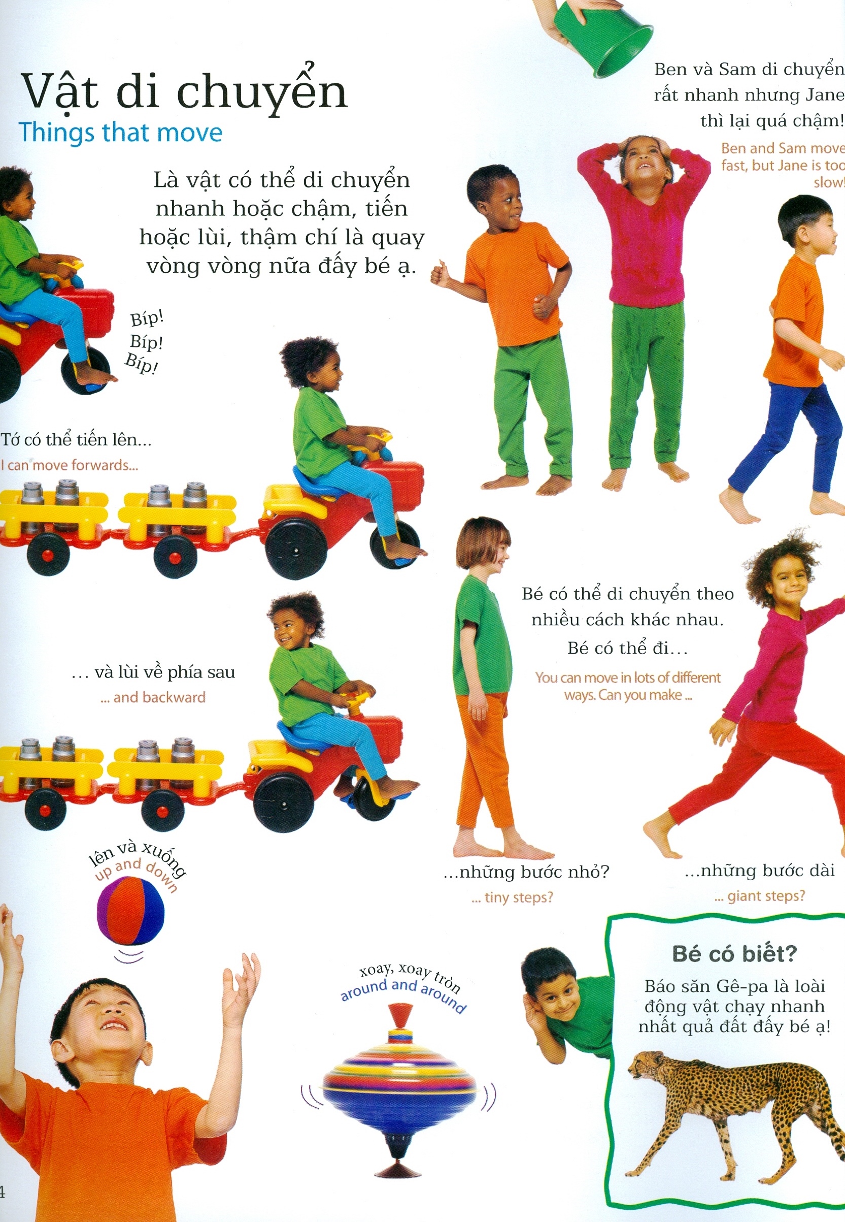 lớp học vui về khoa học - science - Ảnh 4