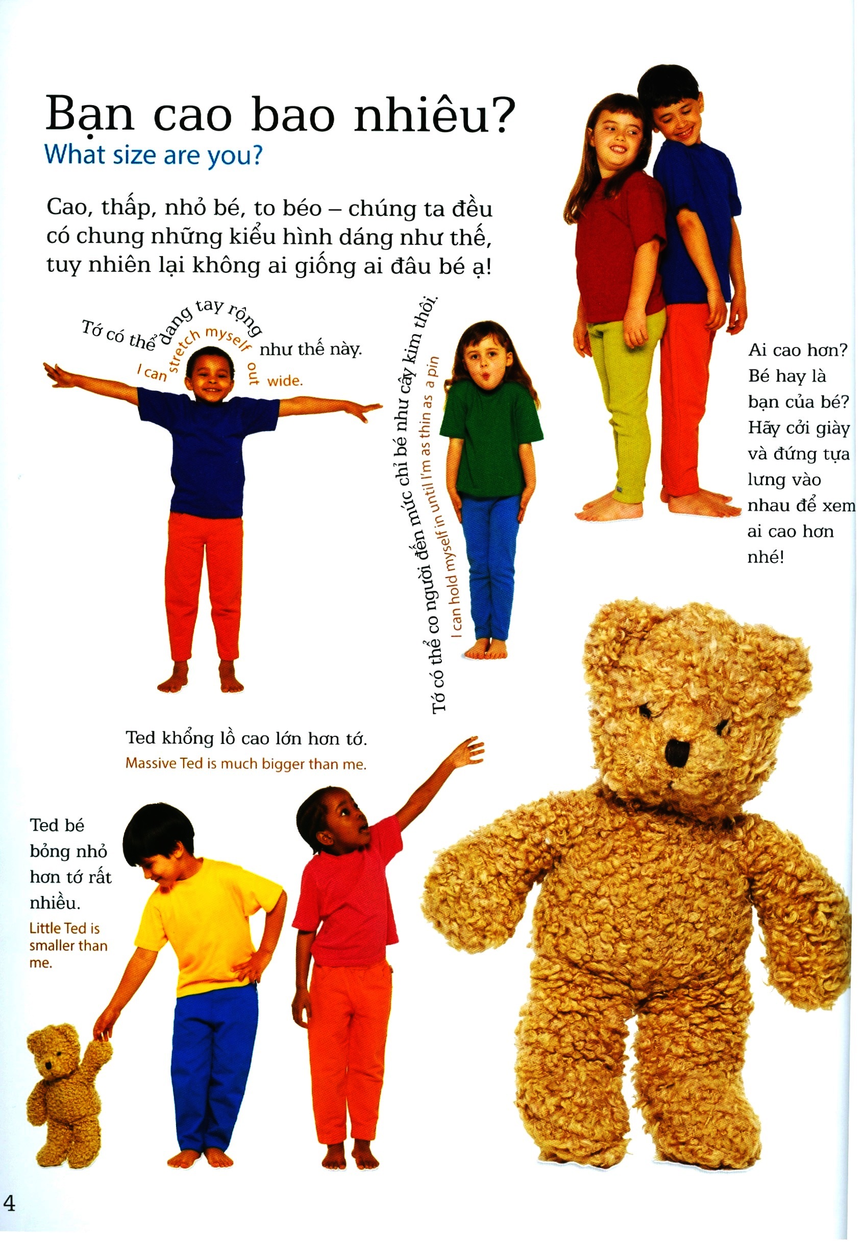 lớp học vui về kích thước - sizes - Ảnh 4