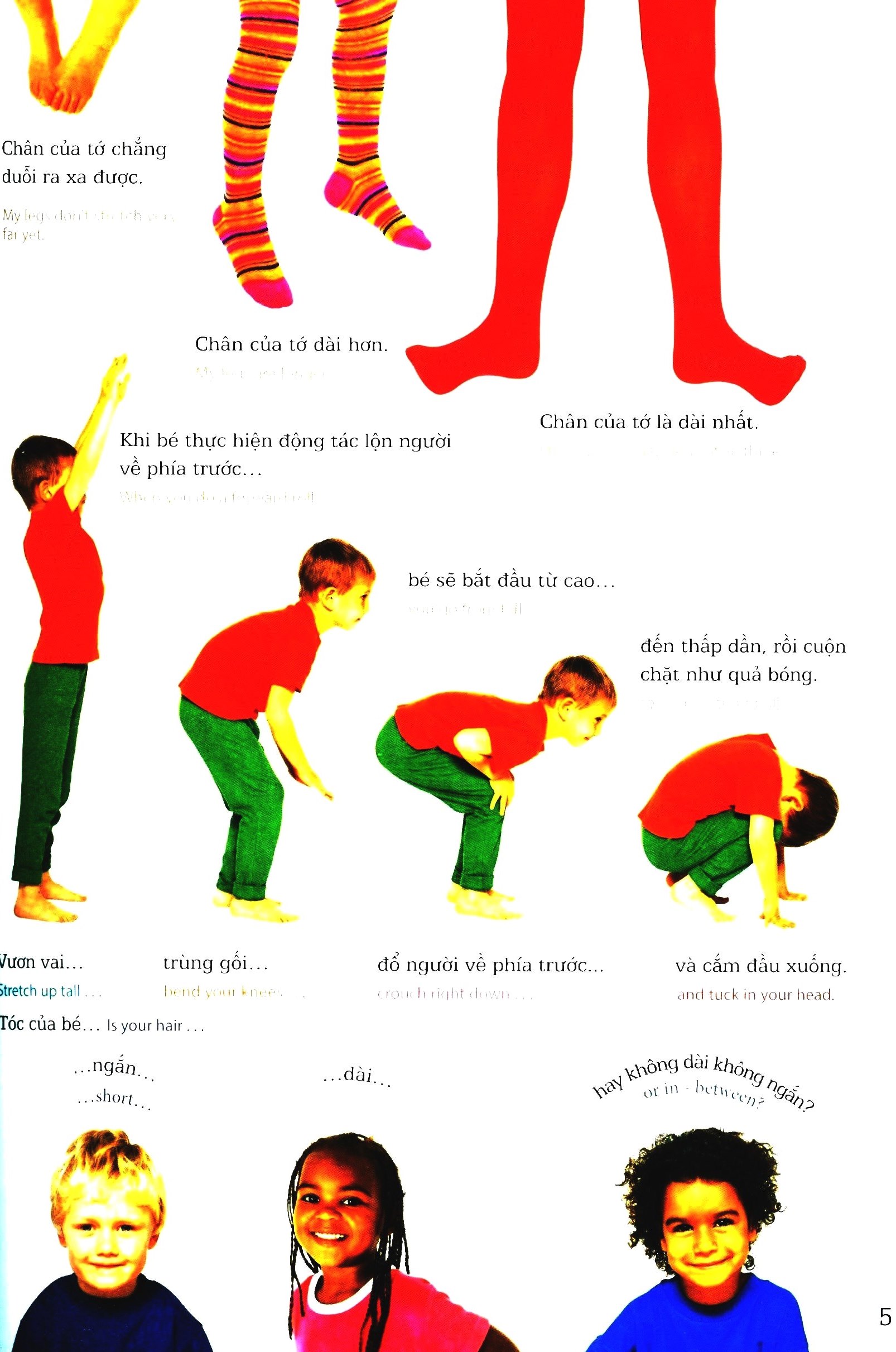 lớp học vui về kích thước - sizes - Ảnh 6