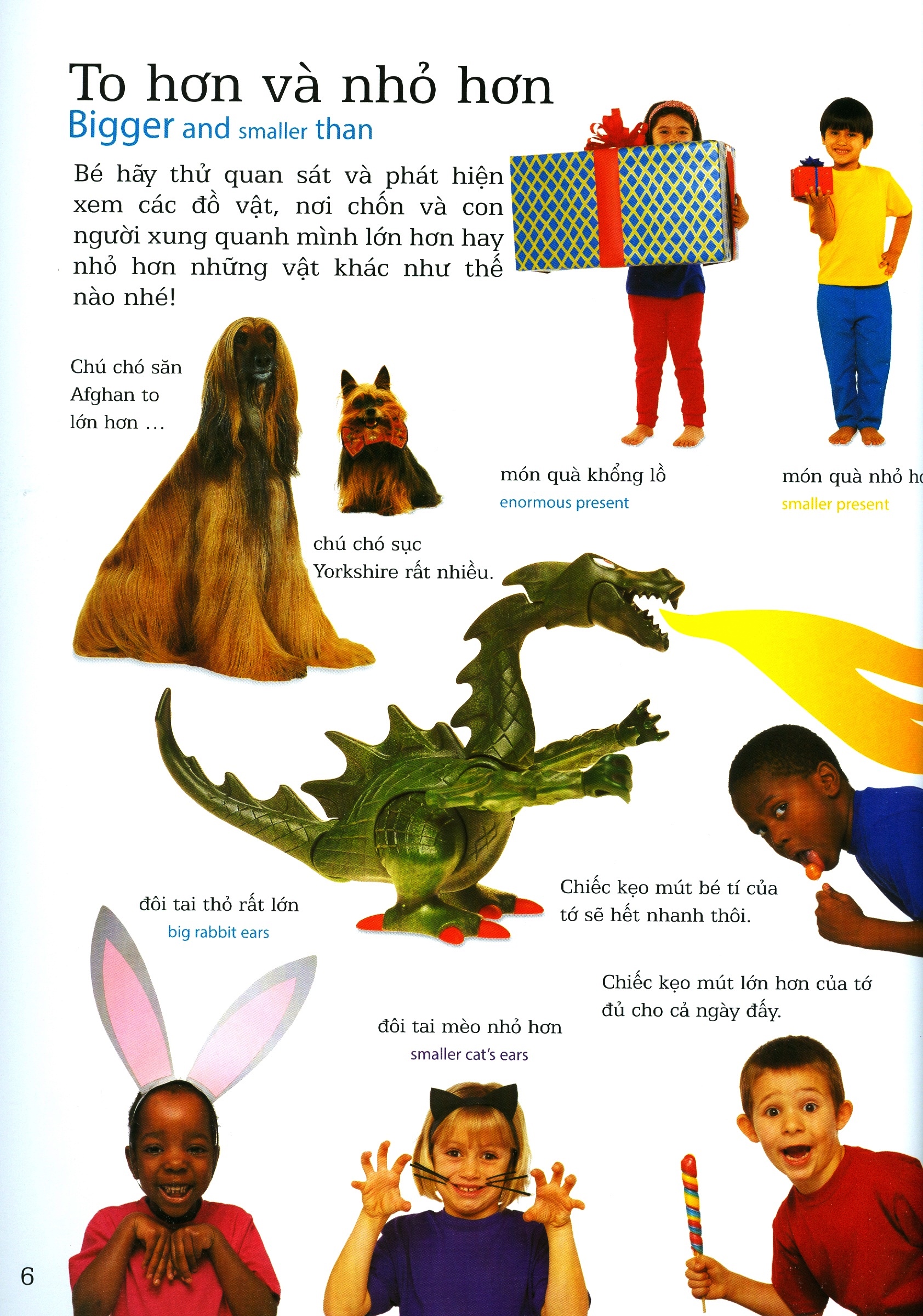 lớp học vui về kích thước - sizes - Ảnh 8