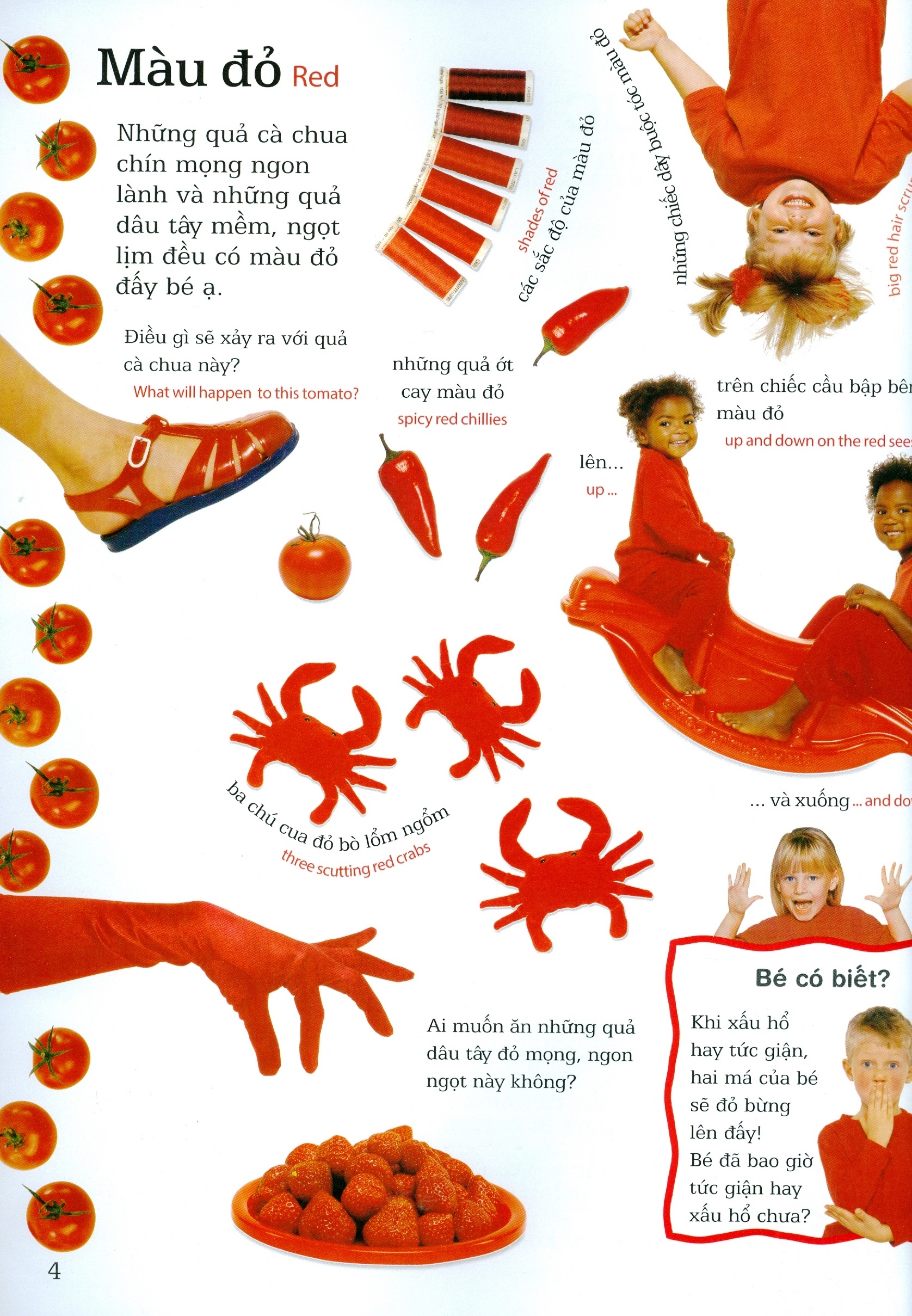 lớp học vui về màu sắc - colours - Ảnh 3