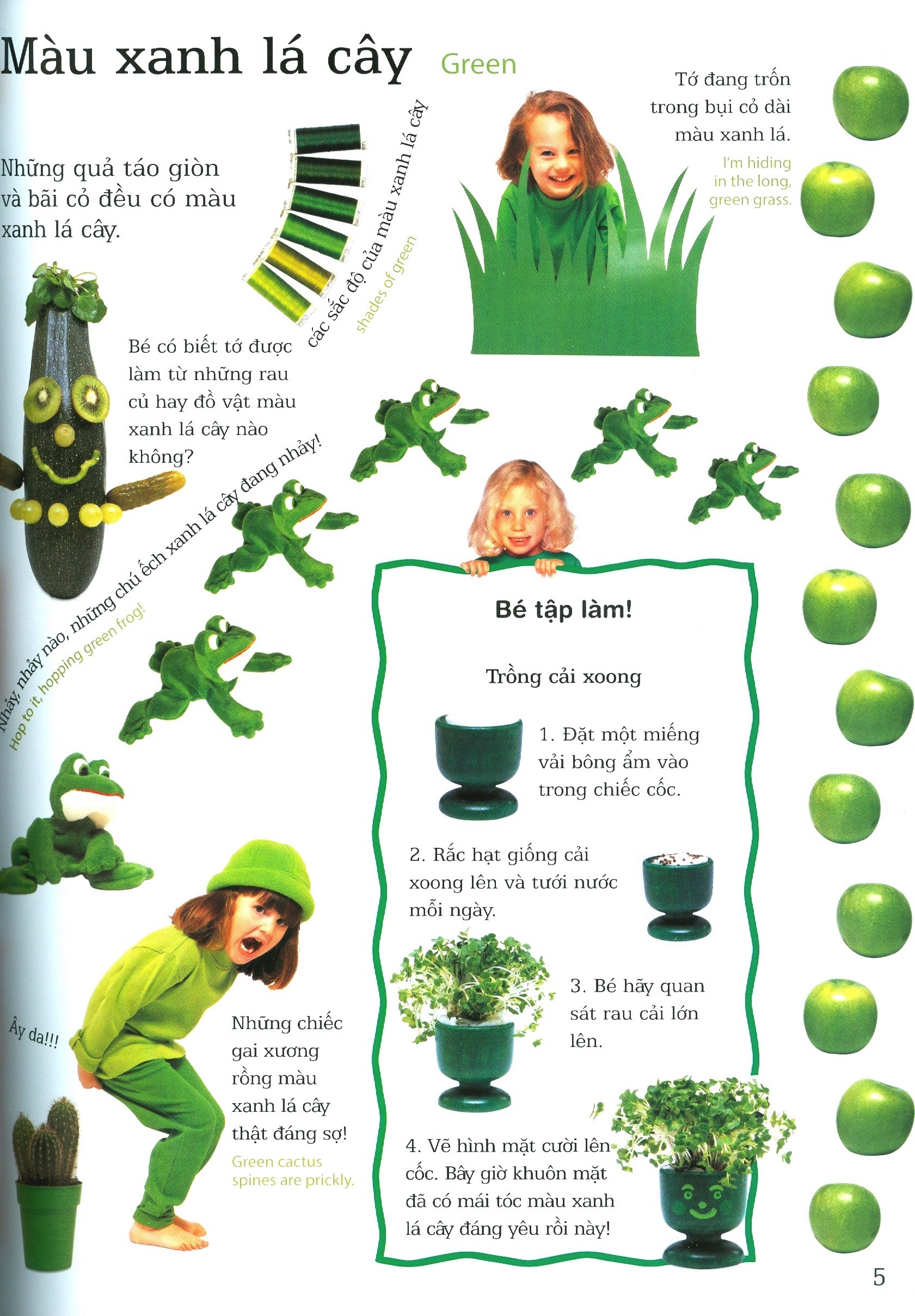 lớp học vui về màu sắc - colours - Ảnh 4