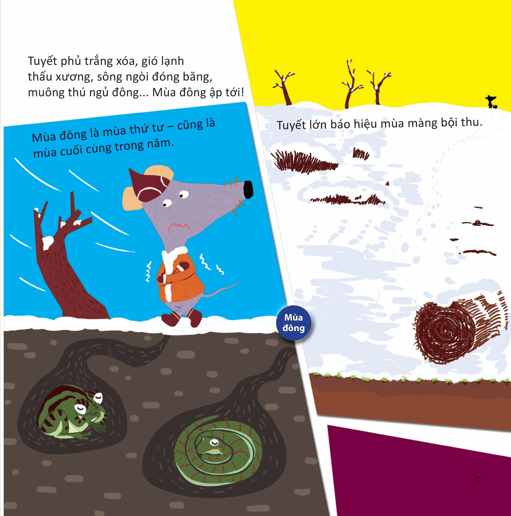 lớp khoa học vỡ lòng - tìm hiểu hiện tượng tự nhiên - Ảnh 4