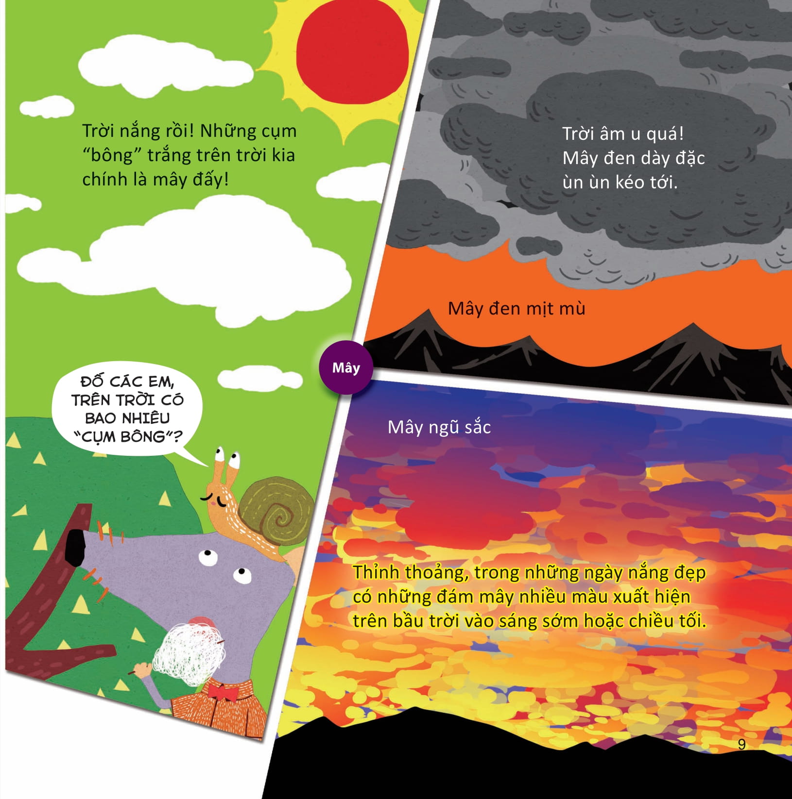 lớp khoa học vỡ lòng - tìm hiểu hiện tượng tự nhiên - Ảnh 6