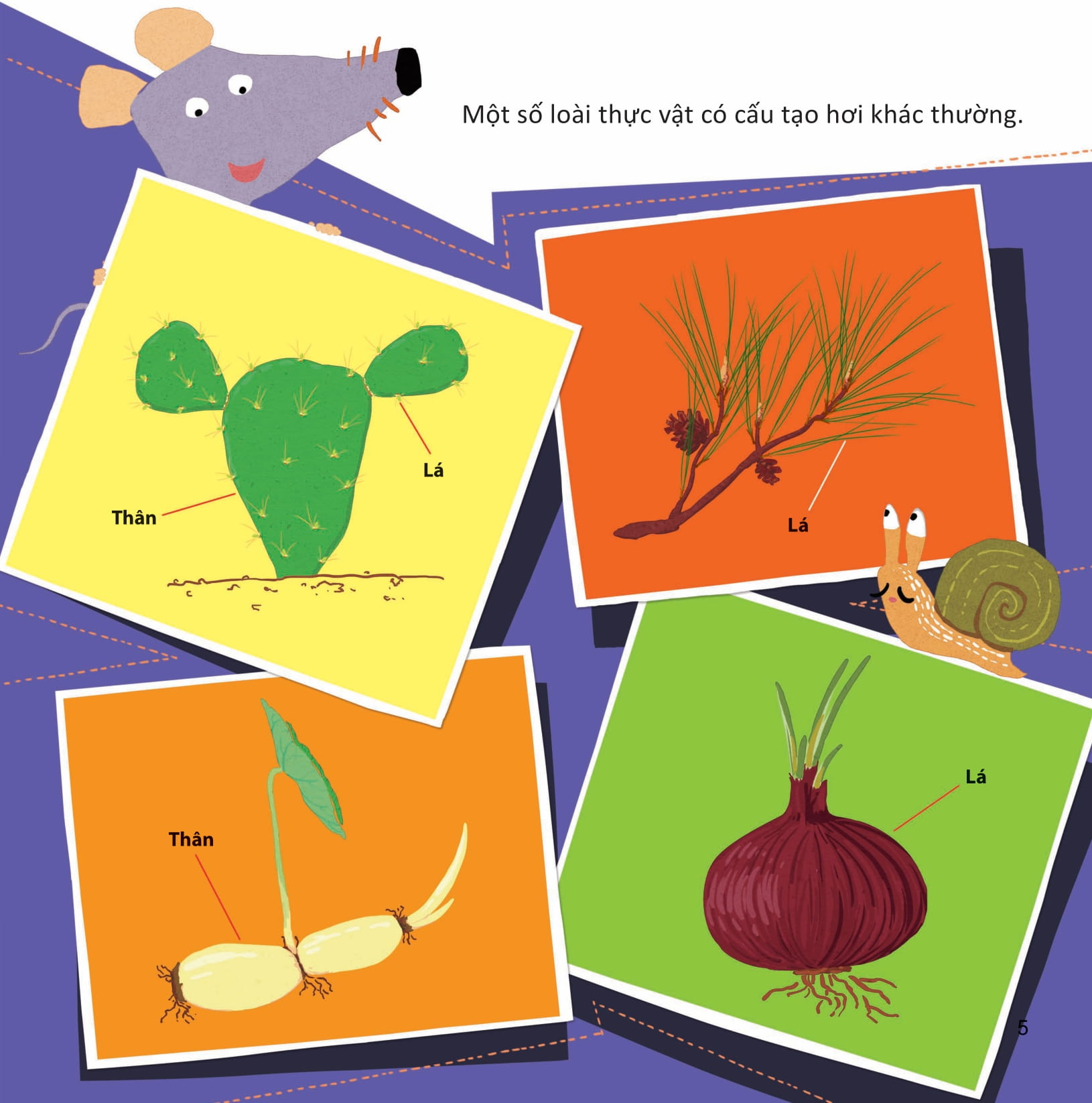 lớp khoa học vỡ lòng - tìm hiểu thực vật - Ảnh 2