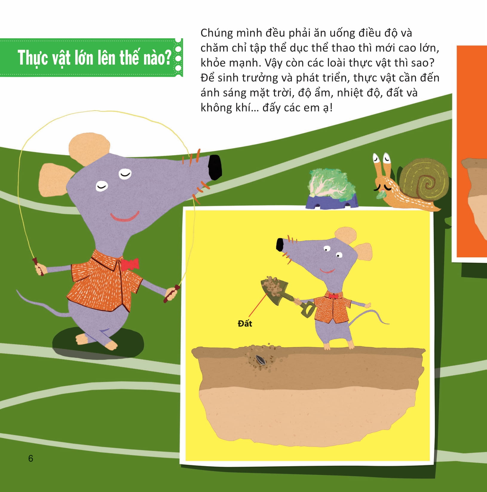 lớp khoa học vỡ lòng - tìm hiểu thực vật - Ảnh 3