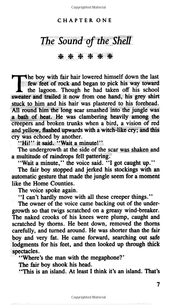 lord of the flies - Ảnh 2