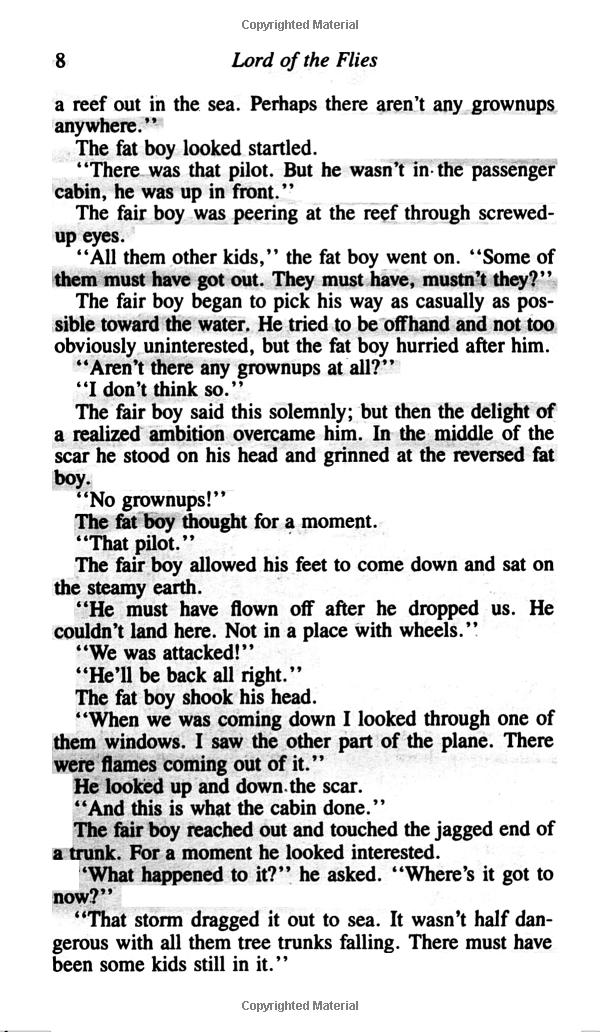 lord of the flies - Ảnh 3