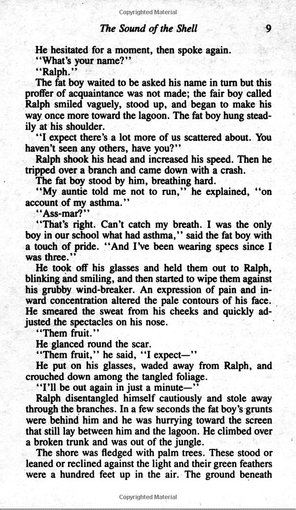 lord of the flies - Ảnh 4