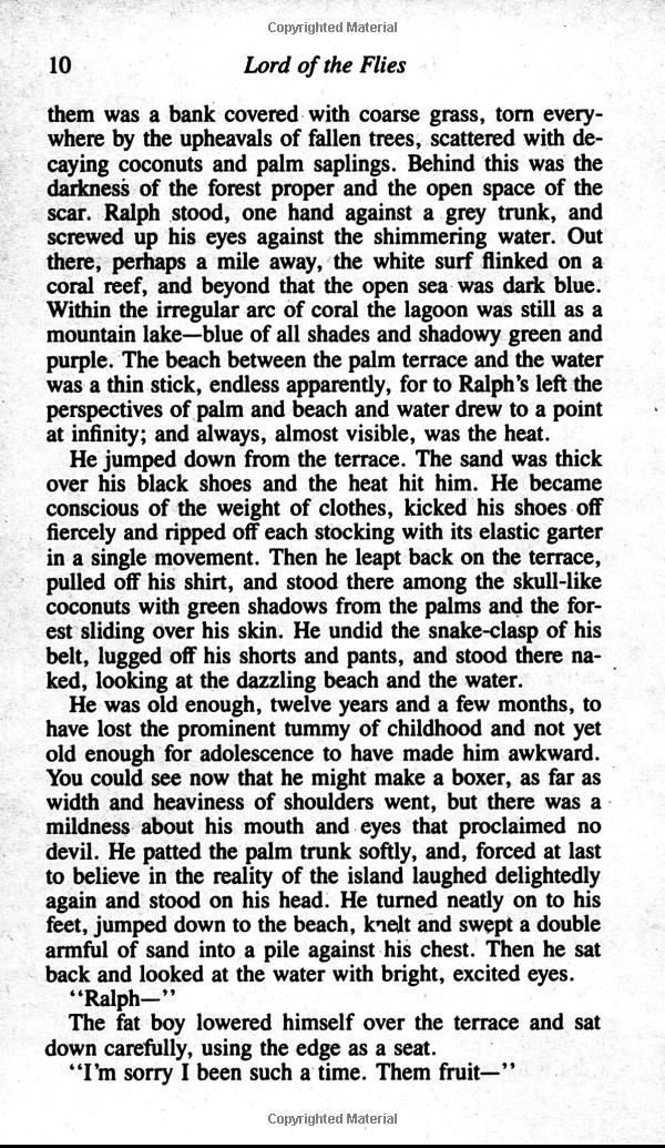 lord of the flies - Ảnh 5