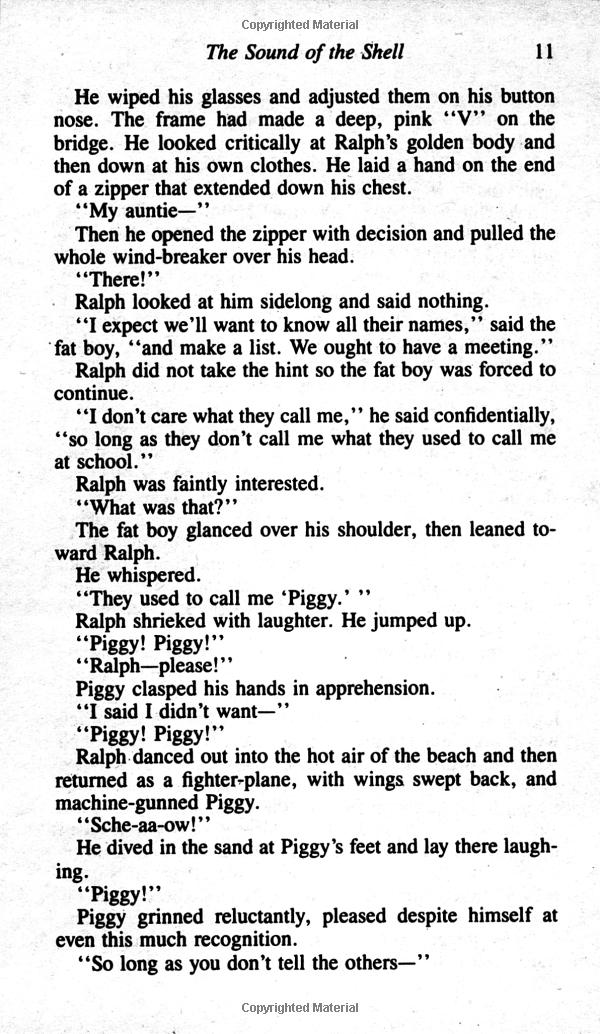 lord of the flies - Ảnh 6