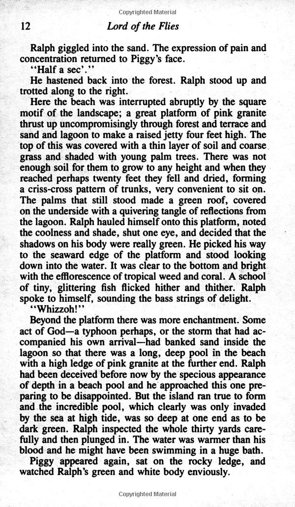 lord of the flies - Ảnh 7