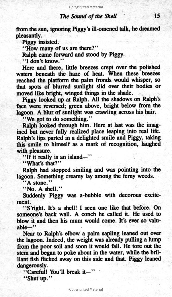 lord of the flies - Ảnh 8