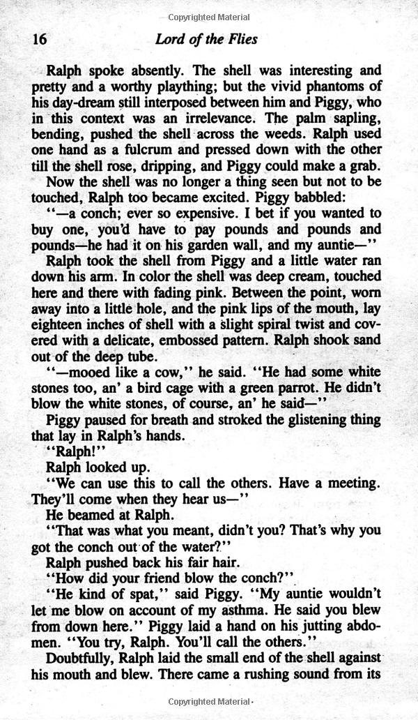 lord of the flies - Ảnh 9