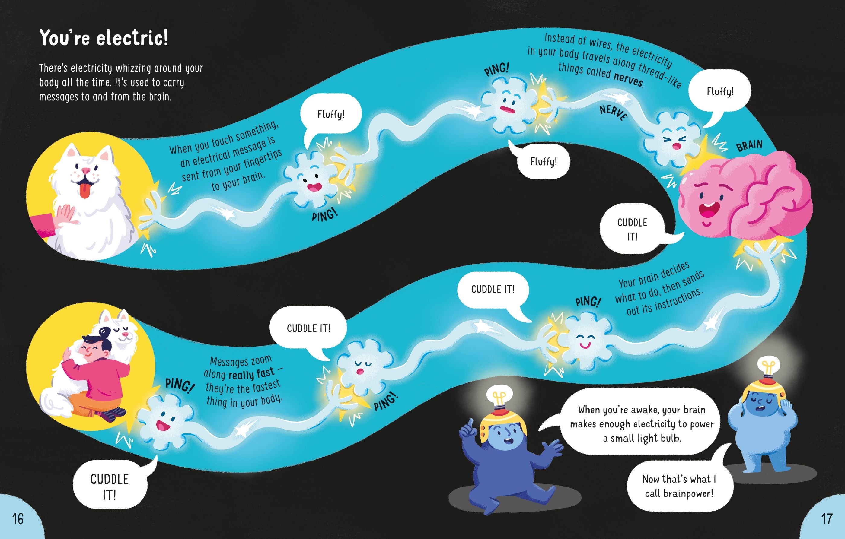 lots of things to know about your body - Ảnh 5