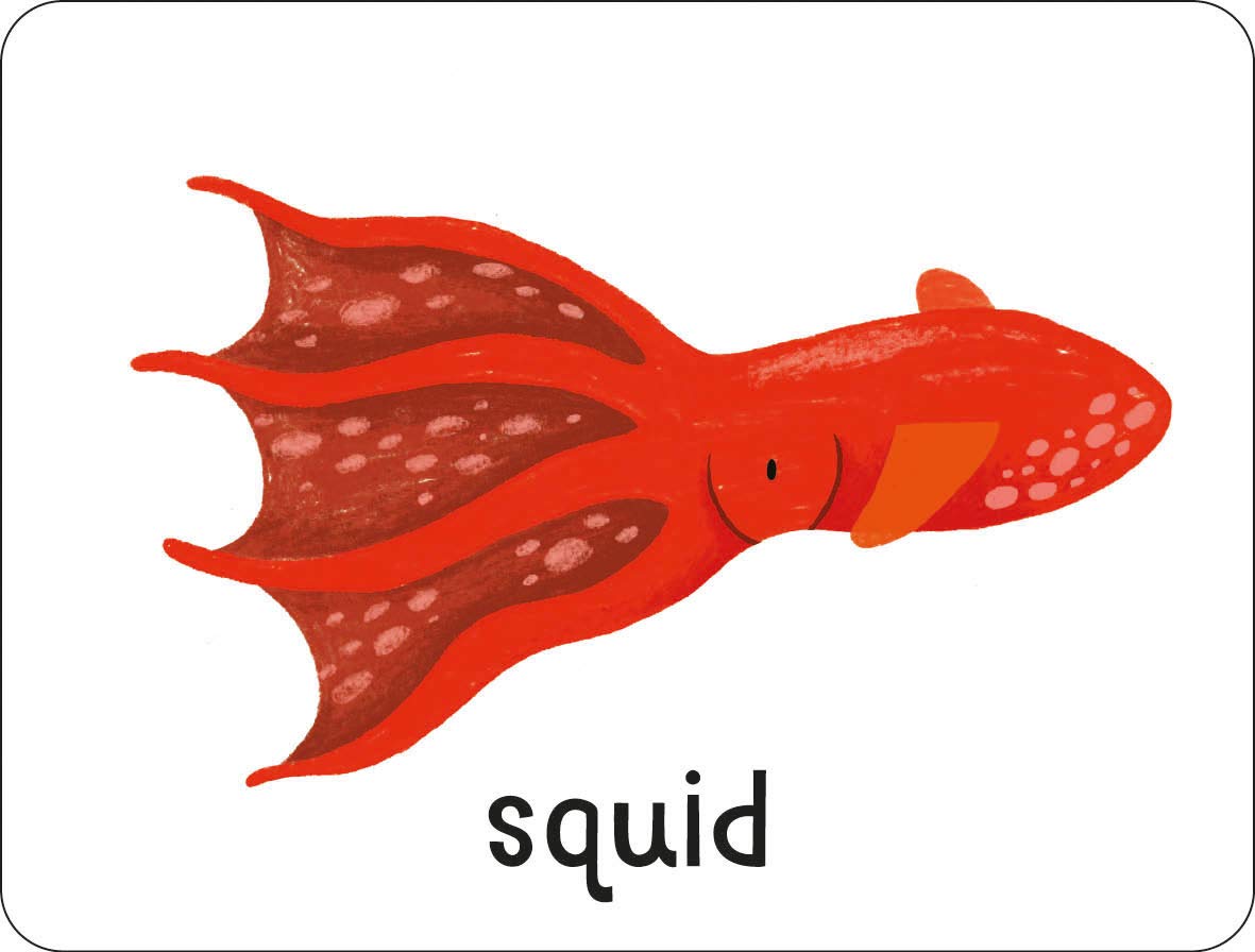 lots to spot flashcards: animals! - Ảnh 6