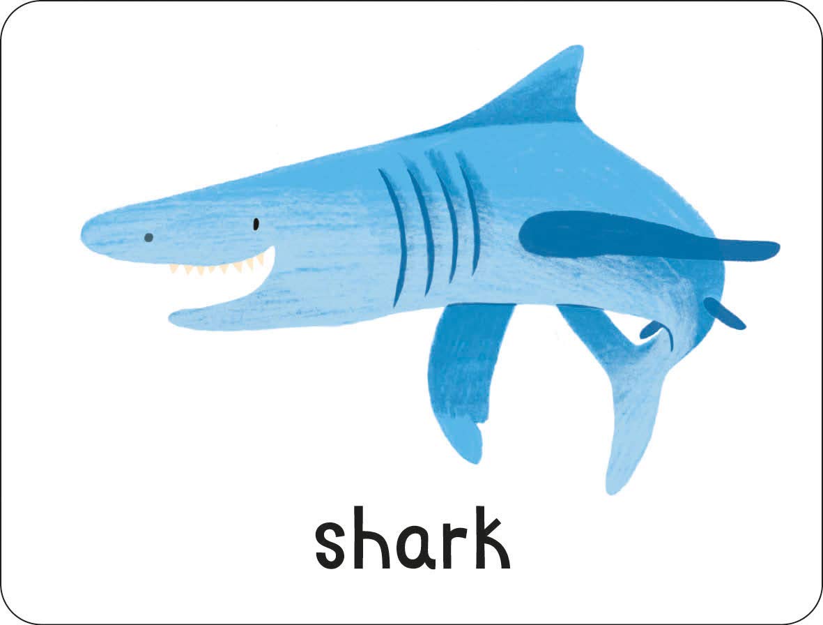 lots to spot flashcards: animals! - Ảnh 8