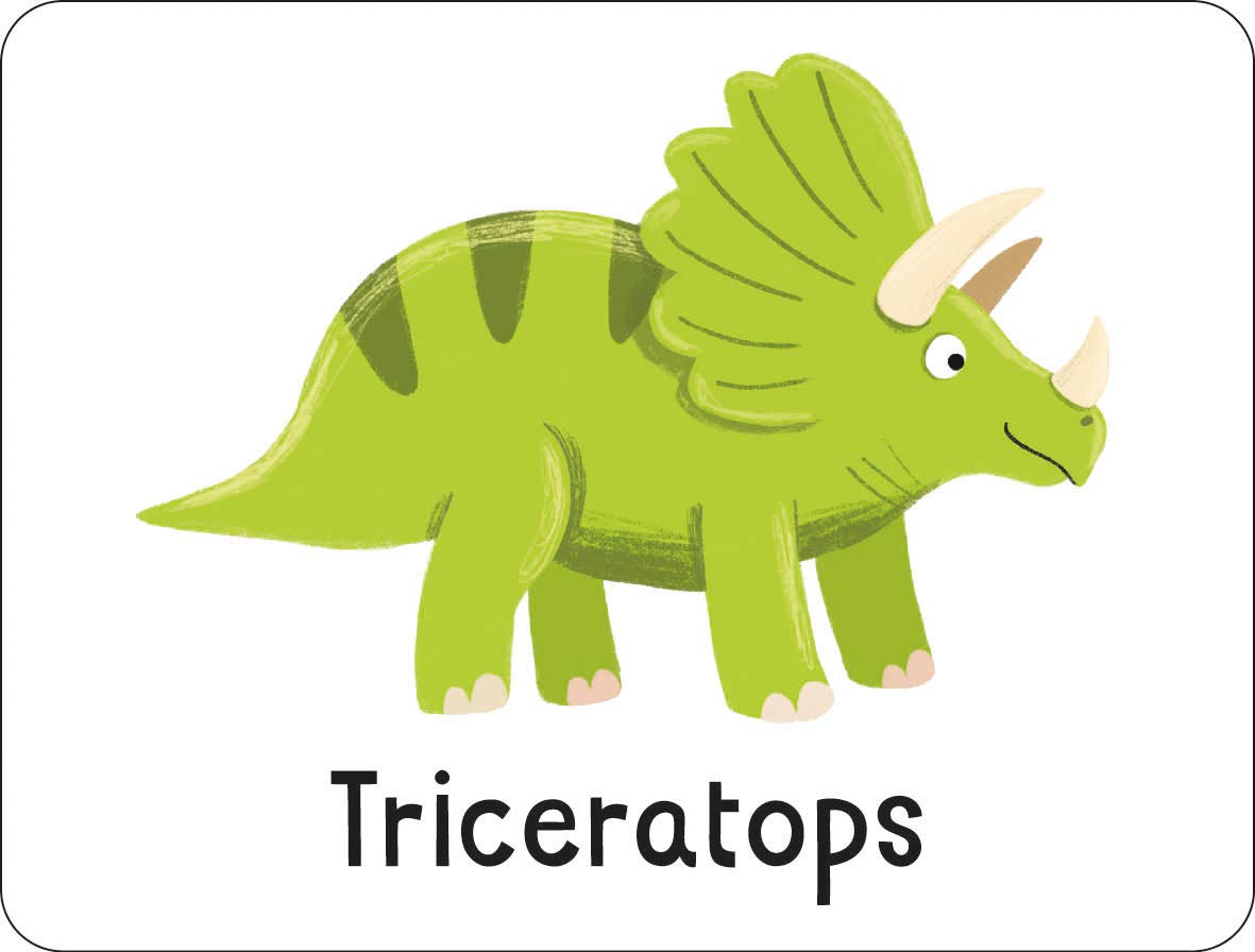 lots to spot flashcards - dinosaurs! - Ảnh 4
