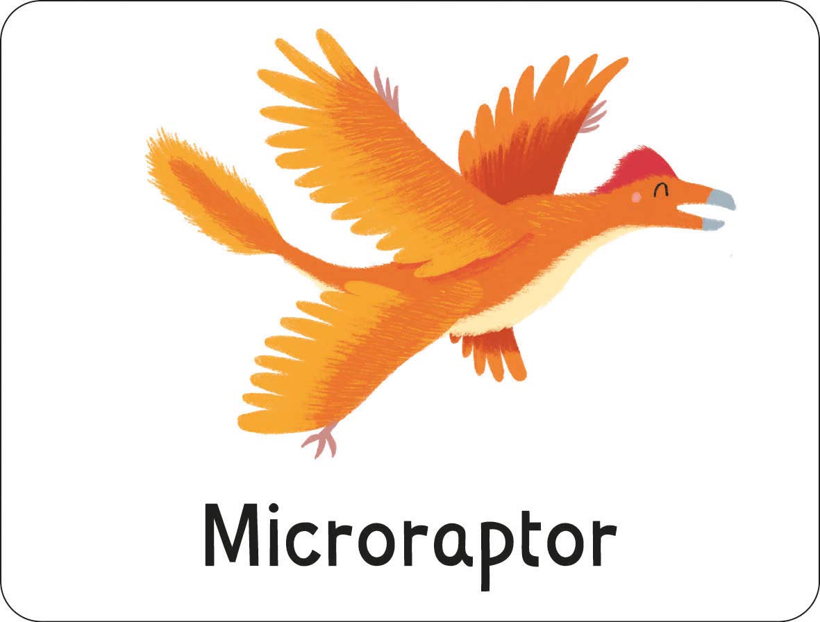 lots to spot flashcards - dinosaurs! - Ảnh 5