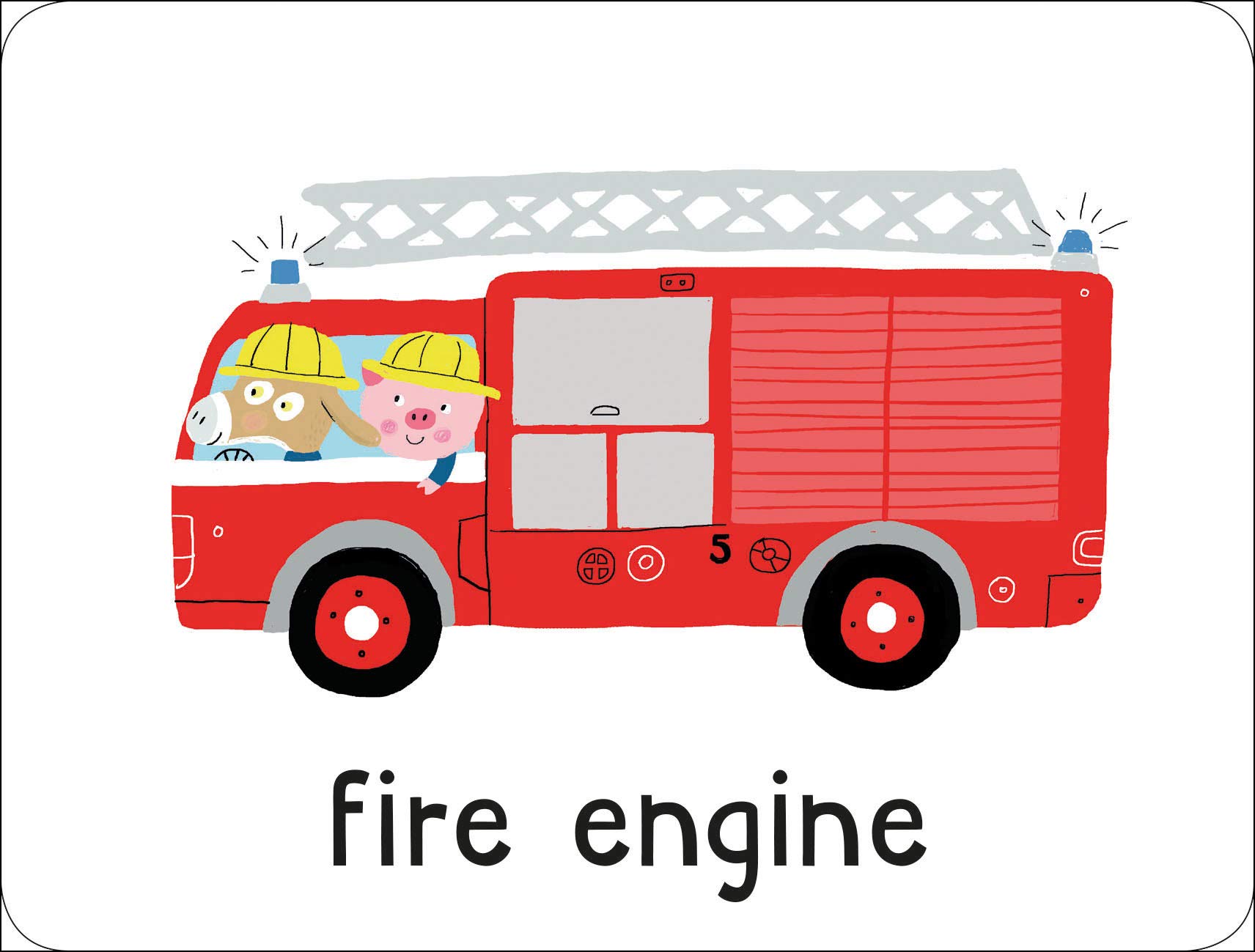 lots to spot flashcards: on the go! - Ảnh 5