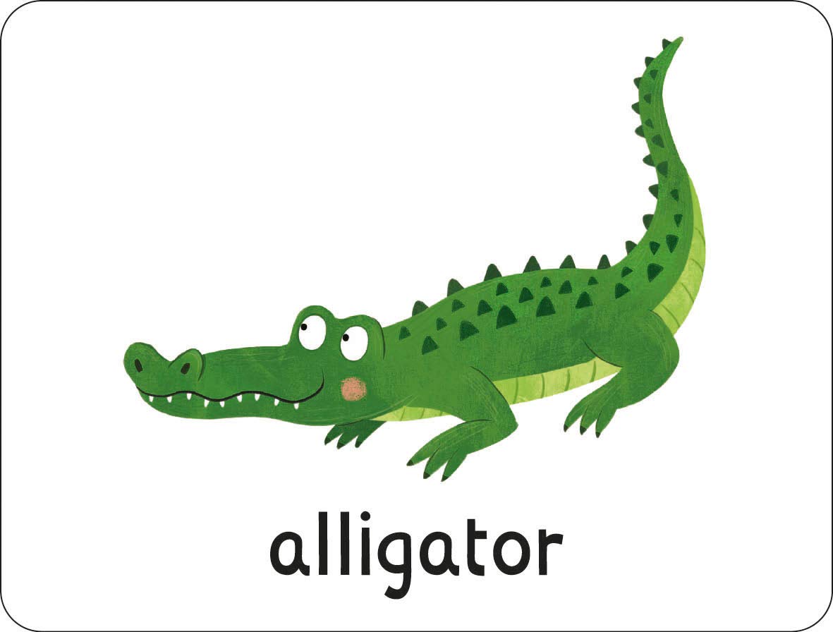 lots to spot flashcards - under the sea! - Ảnh 4