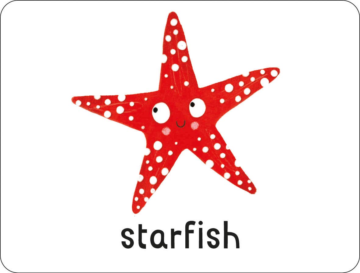 lots to spot flashcards - under the sea! - Ảnh 5