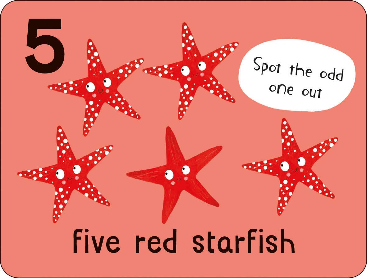 lots to spot flashcards - under the sea! - Ảnh 6