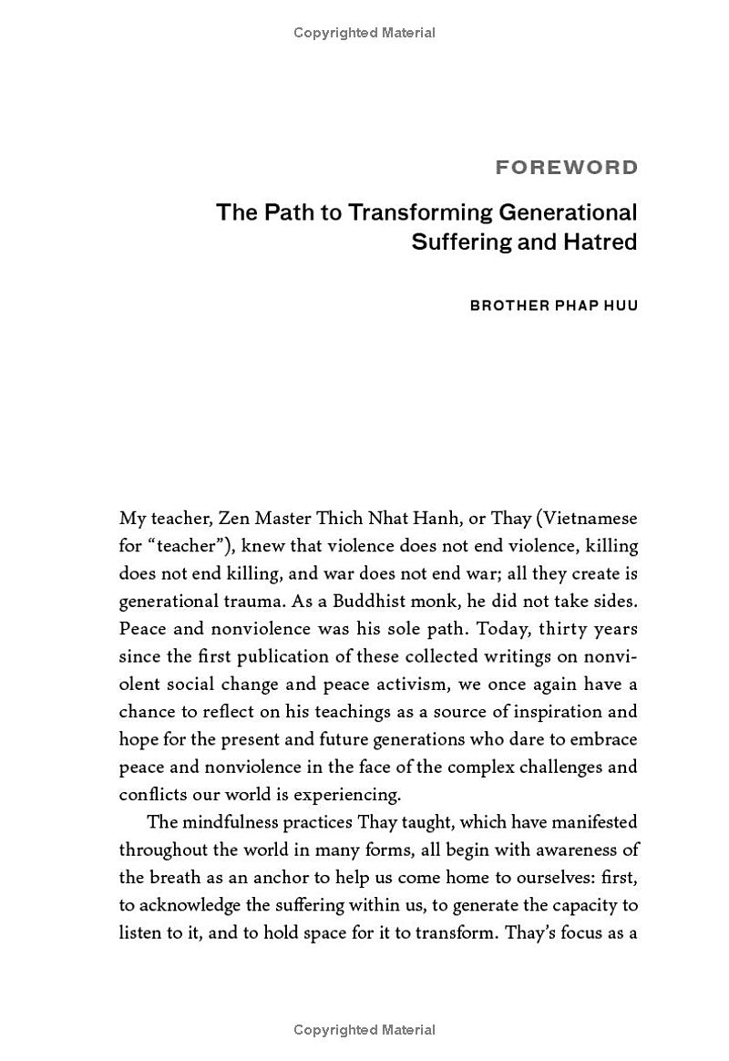 love in action, second edition - writings on nonviolent social change - Ảnh 5