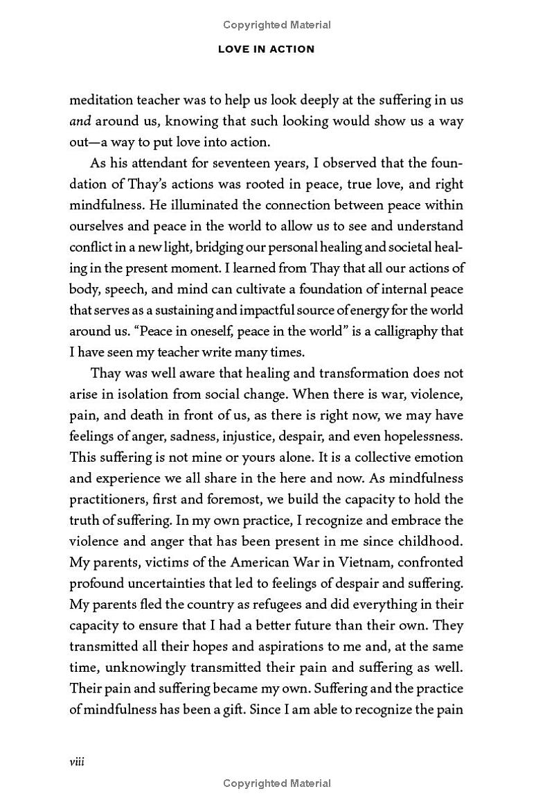 love in action, second edition - writings on nonviolent social change - Ảnh 6