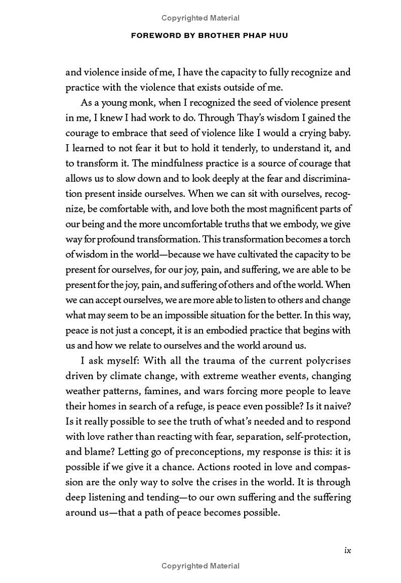 love in action, second edition - writings on nonviolent social change - Ảnh 7