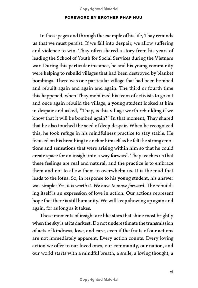 love in action, second edition - writings on nonviolent social change - Ảnh 9