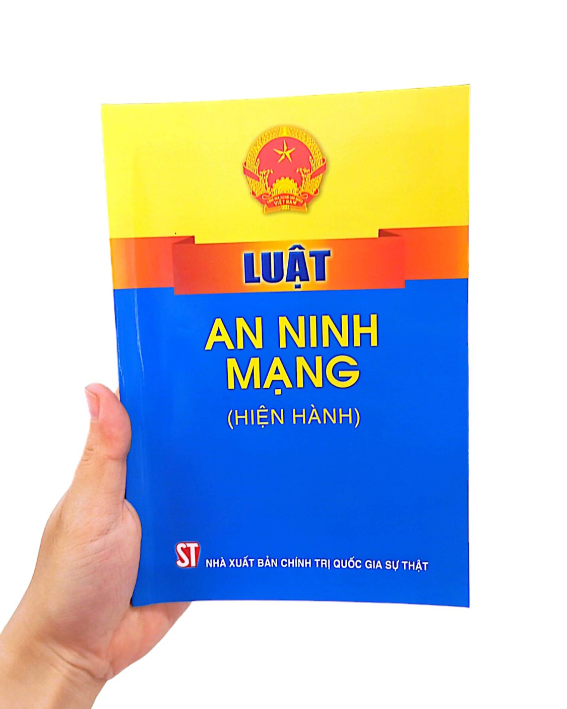 luật an ninh mạng (hiện hành) - Ảnh 10