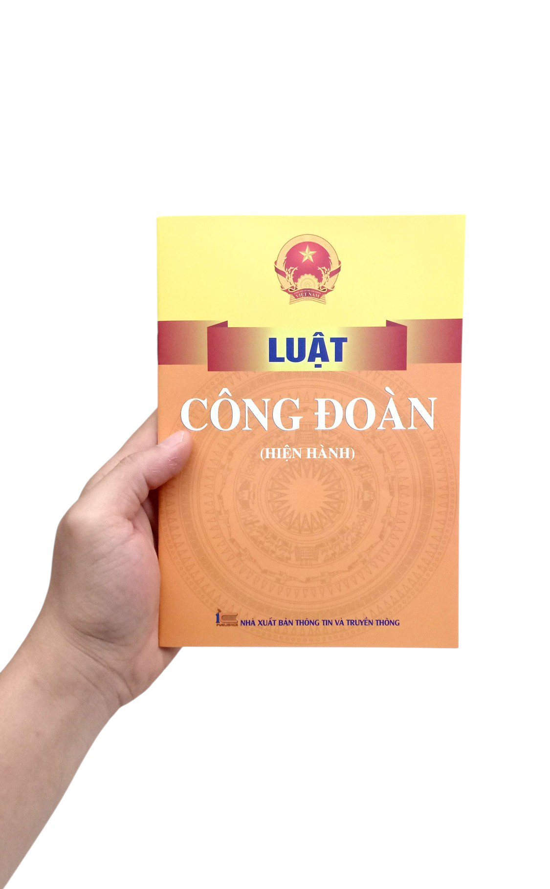 Luật Công Đoàn (Hiện Hành) - Ảnh 7
