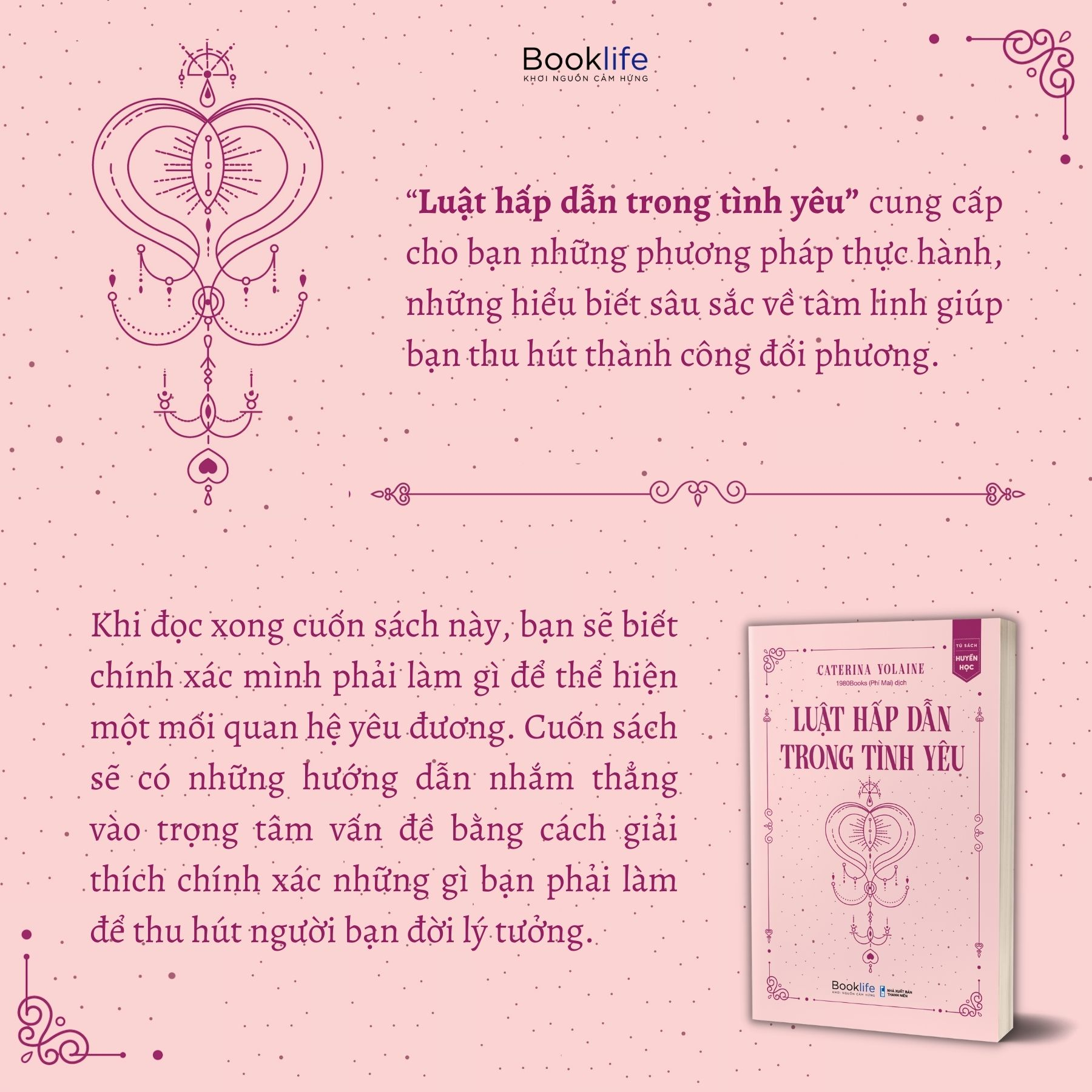 luật hấp dẫn trong tình yêu - Ảnh 3