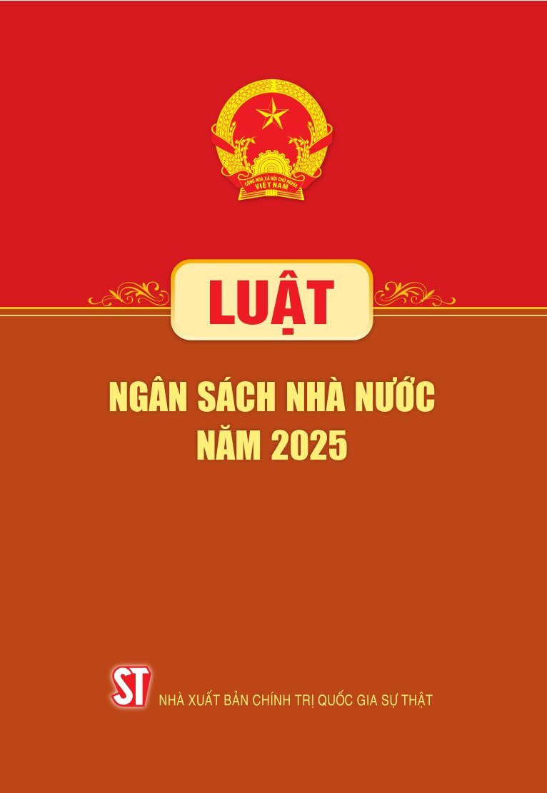 Luật Ngân Sách Nhà Nước Năm 2025 - Ảnh 2