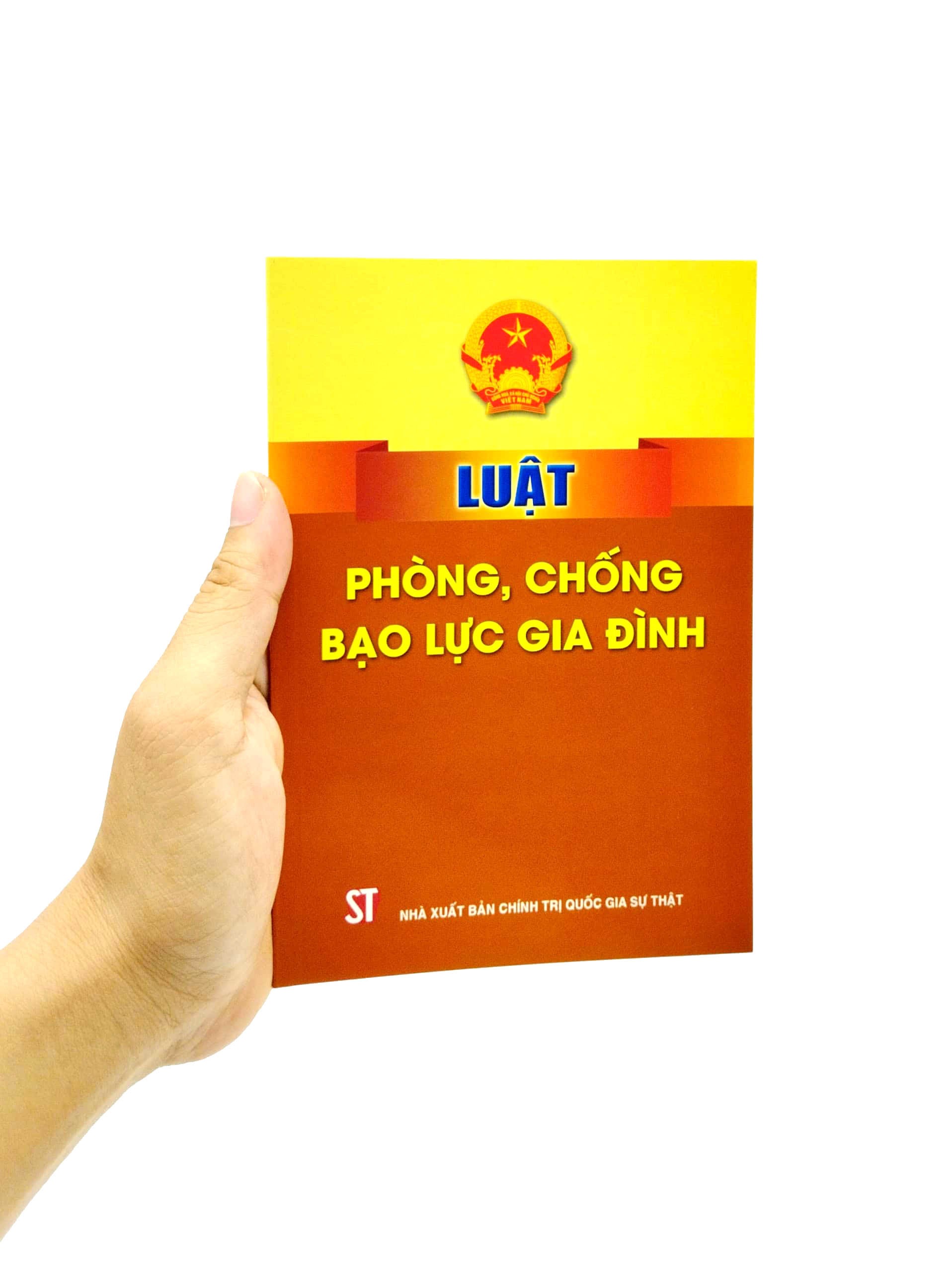 luật phòng, chống bạo lực gia đình - Ảnh 6