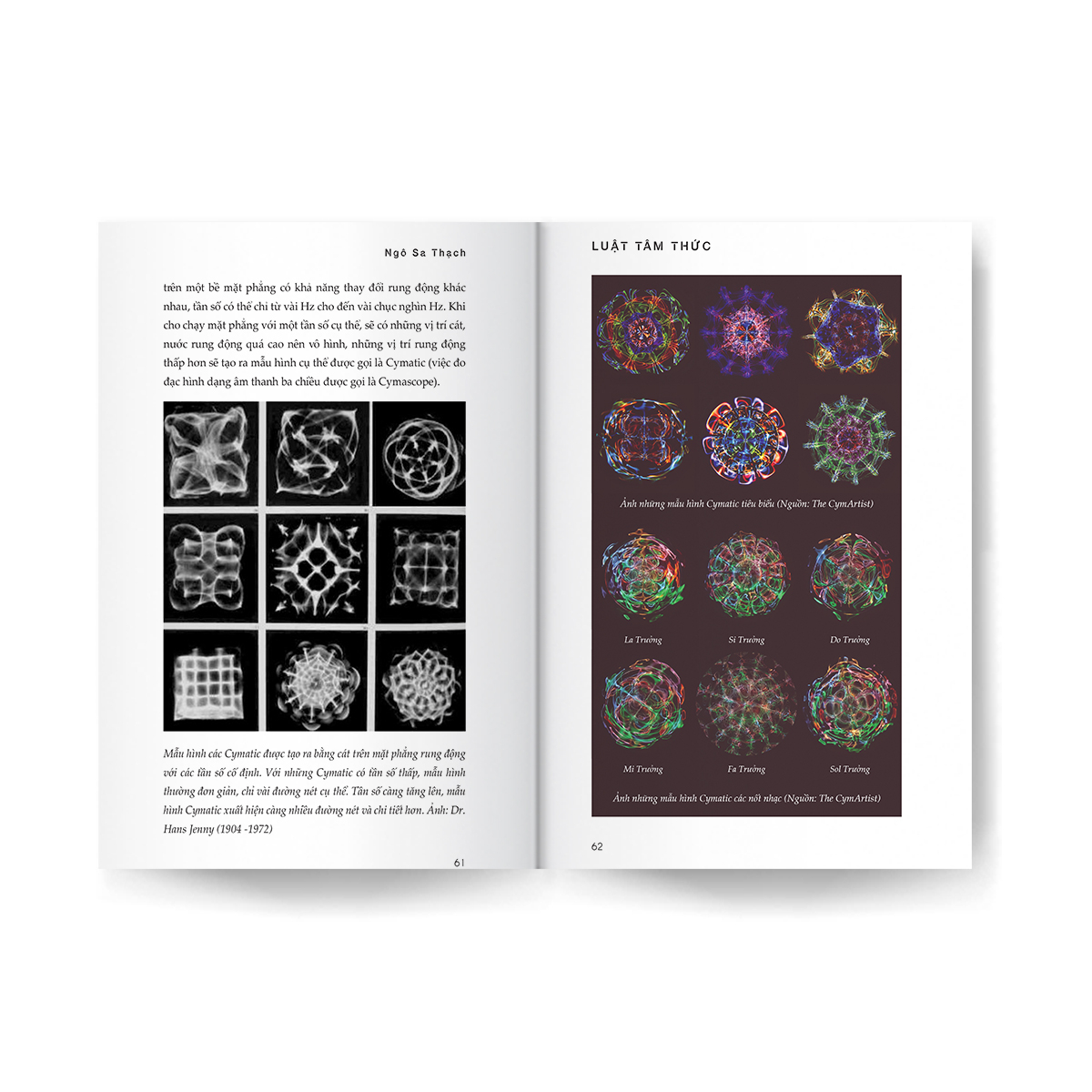 luật tâm thức - vũ trụ nhất nguyên luận - Ảnh 5