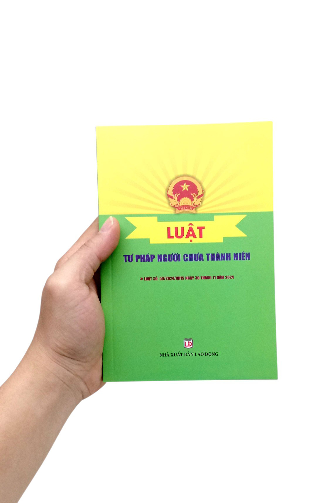 Luật Tư Pháp Người Chưa Thành Niên - Ảnh 7