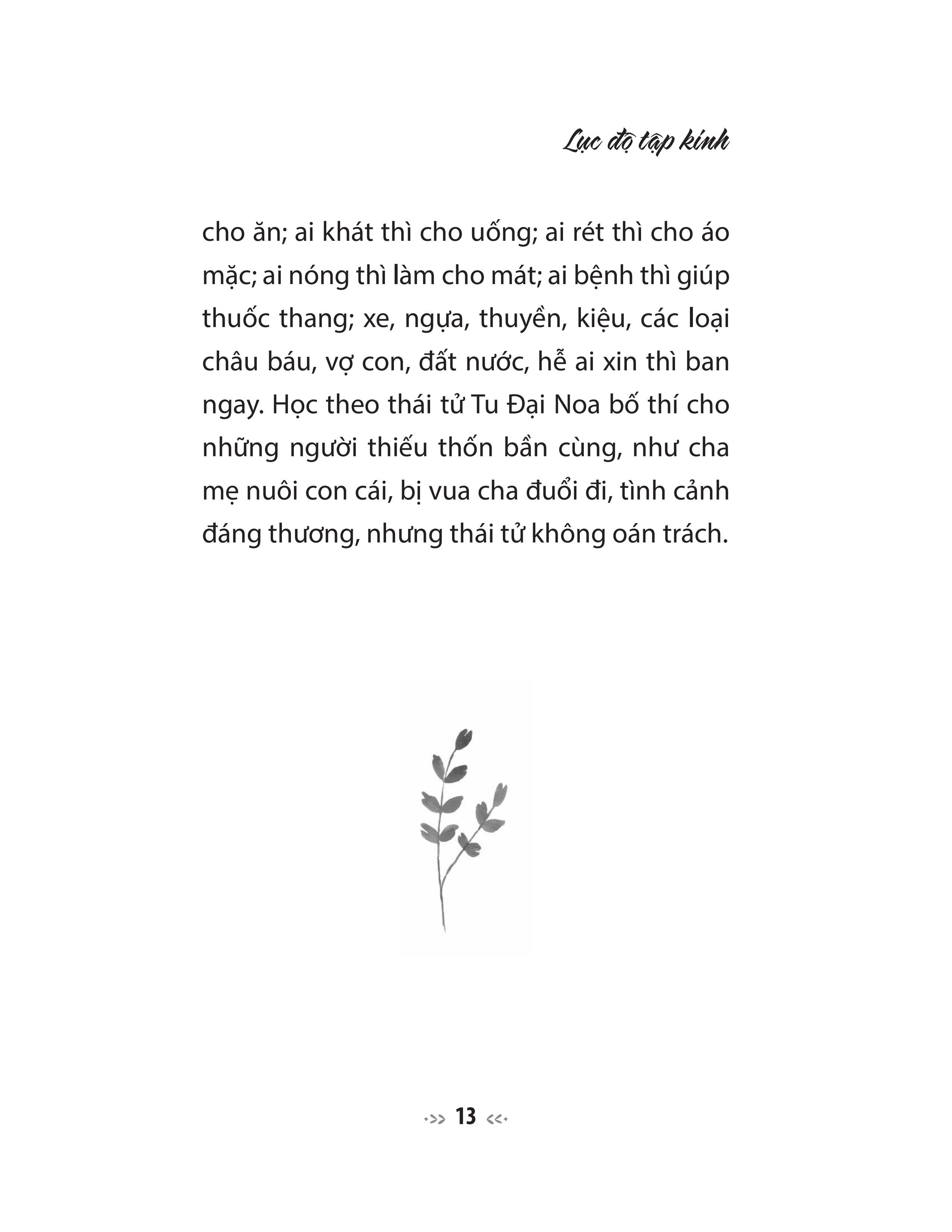 lục độ tập kinh - truyện tiền thân của đức phật - hạnh bố thí - Ảnh 5