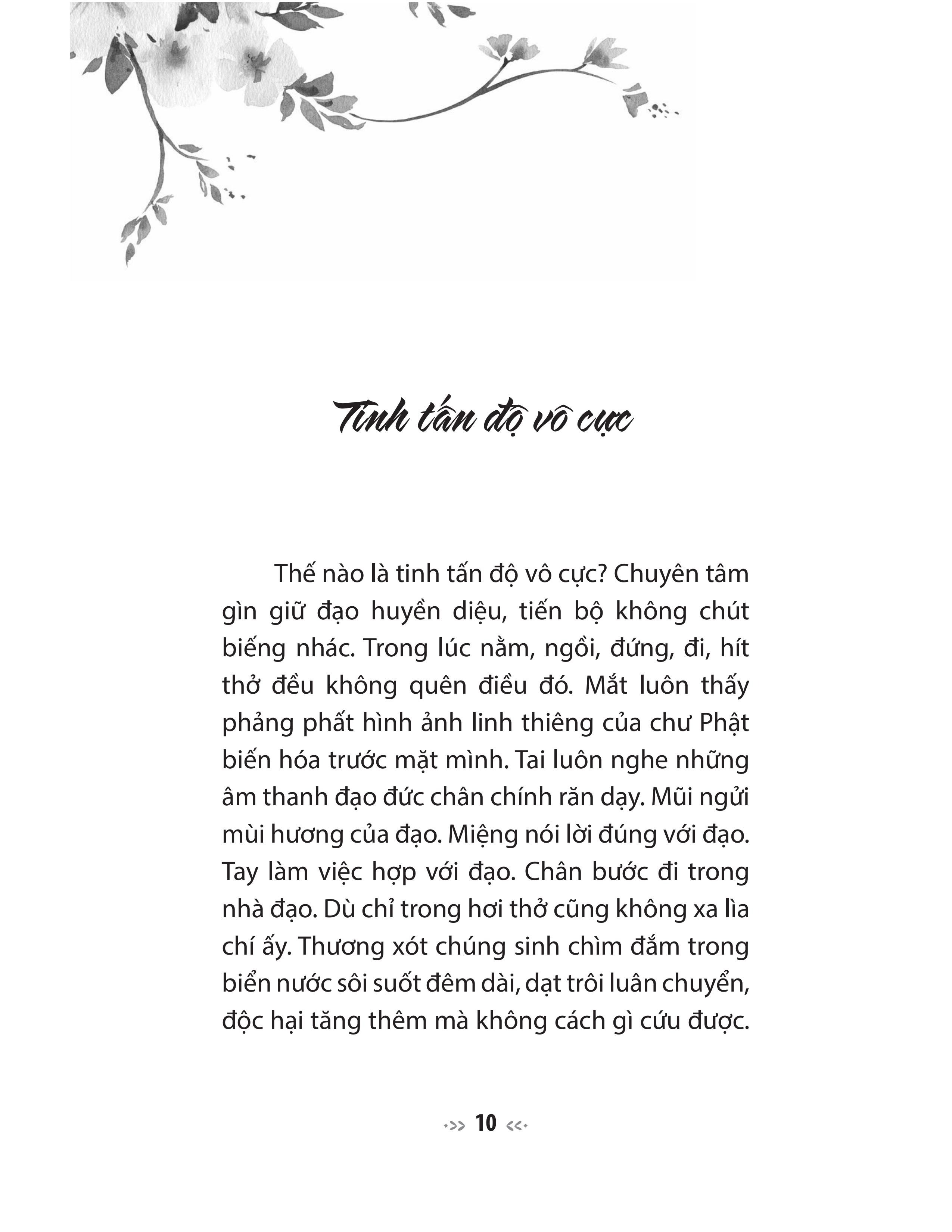 lục độ tập kinh - truyện tiền thân của đức phật - tinh tấn, thiền định và trí tuệ - Ảnh 3