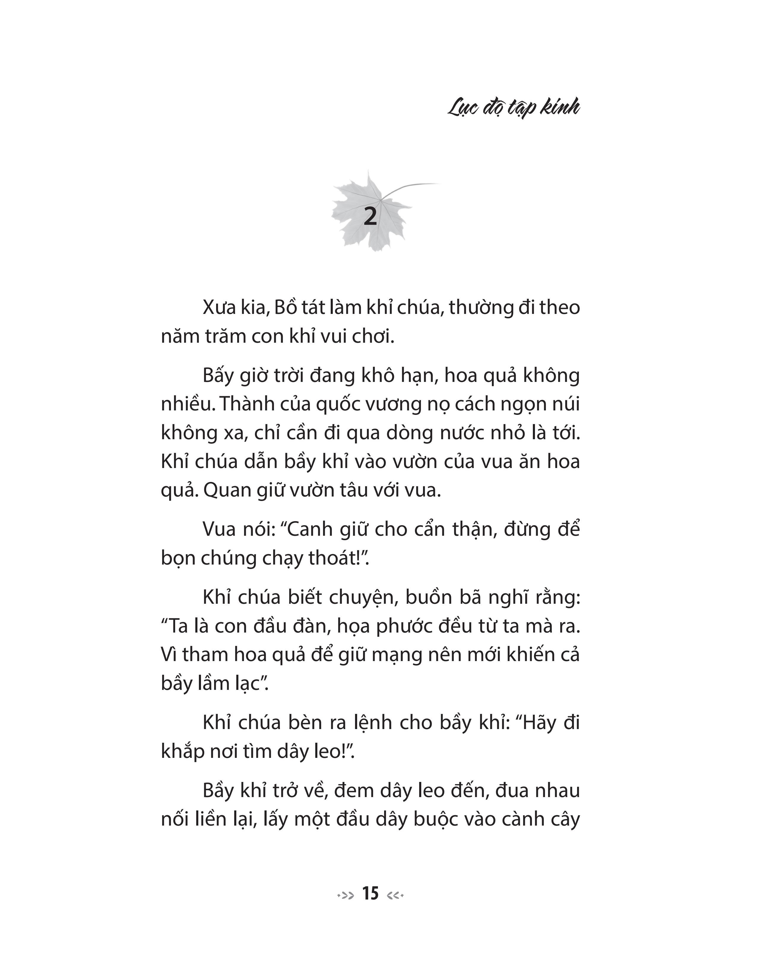 lục độ tập kinh - truyện tiền thân của đức phật - tinh tấn, thiền định và trí tuệ - Ảnh 8