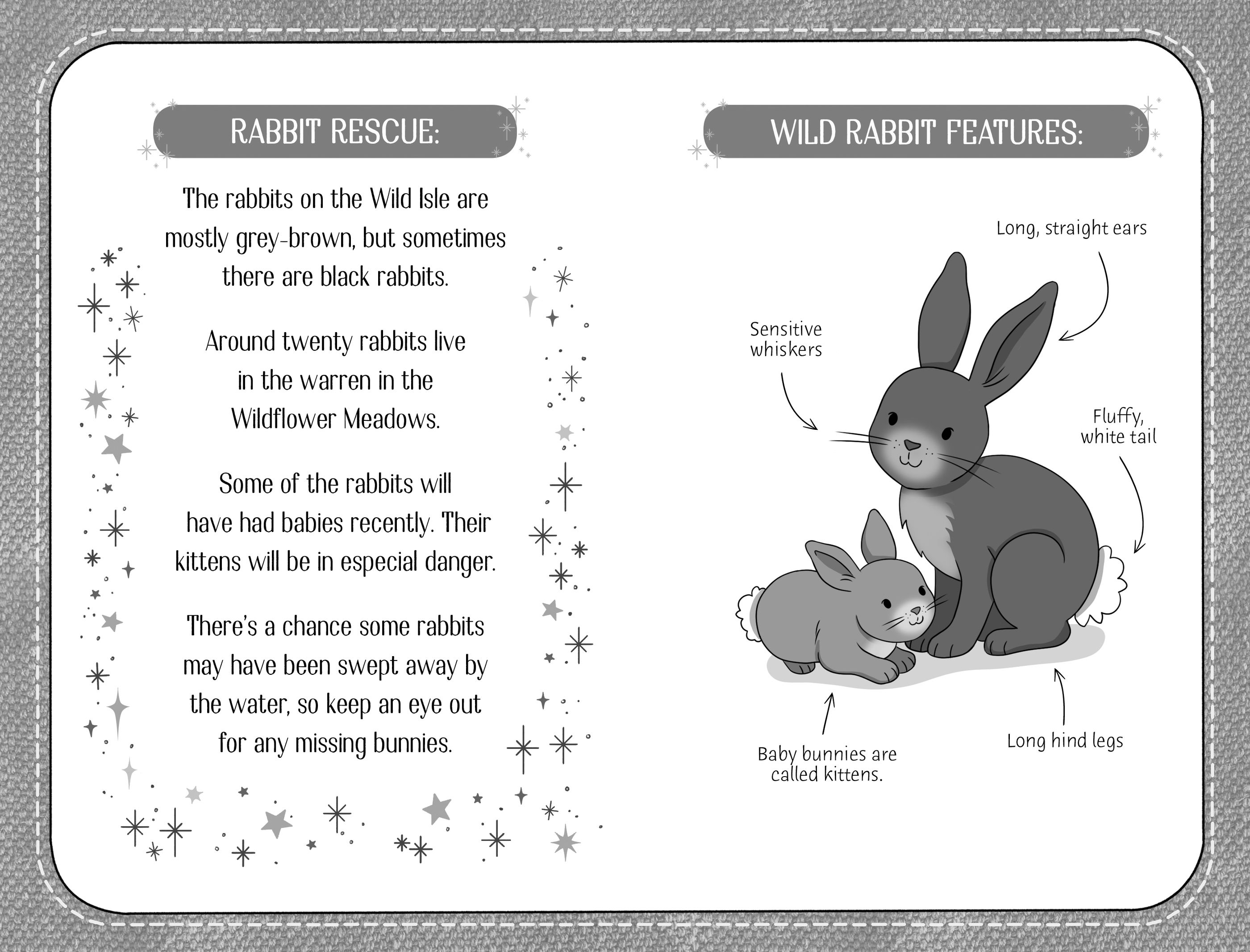 lucky bunnies : an animal rescue dolls story - Ảnh 5