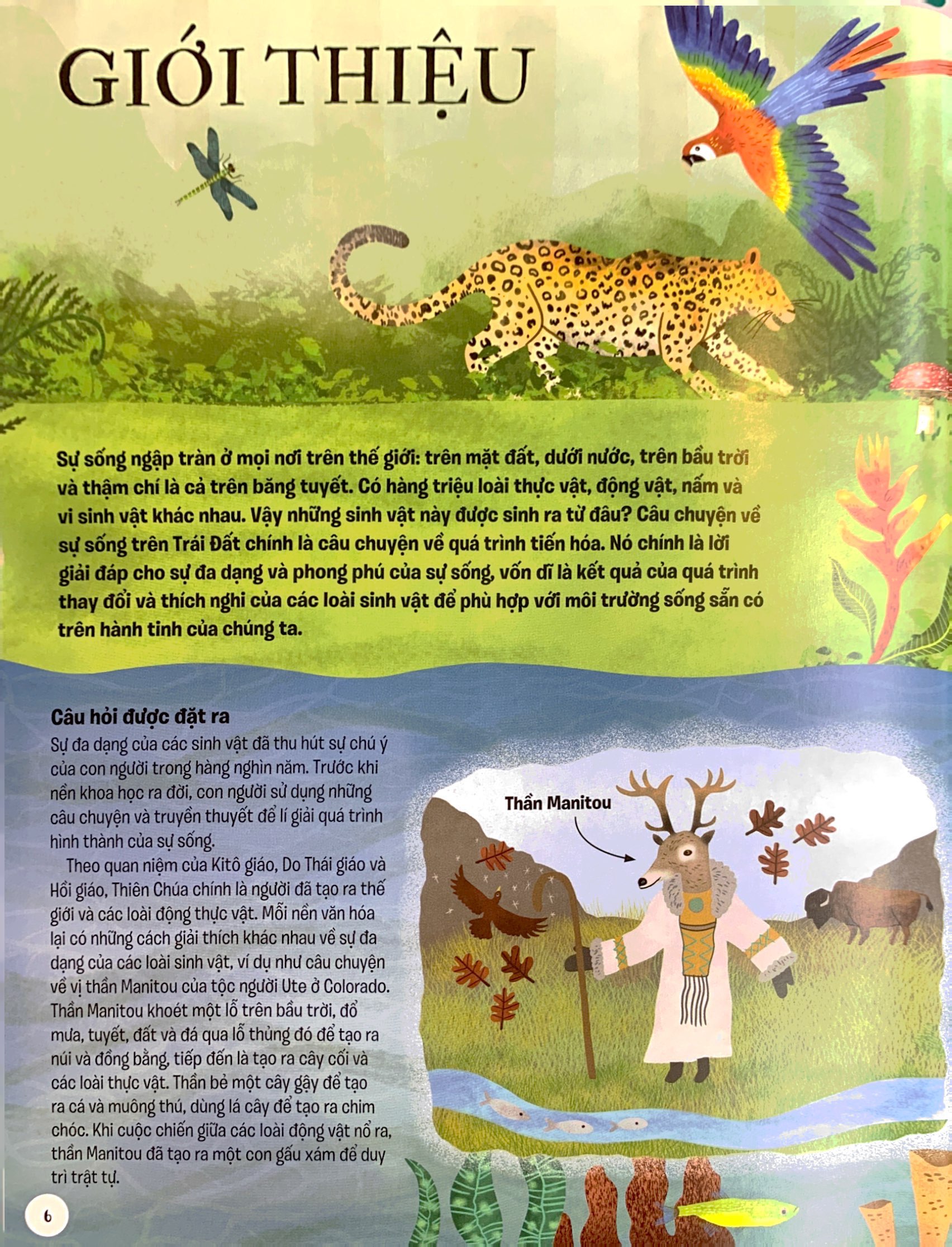 lược sử sự sống bằng hình - tiến hóa diệu kì - Ảnh 4